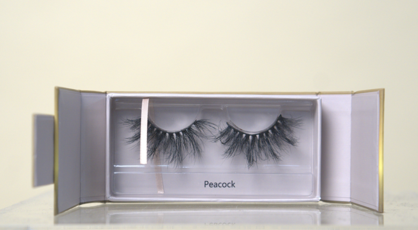 Screen Shot 2022-07-31 at 3.51.40 PM.png