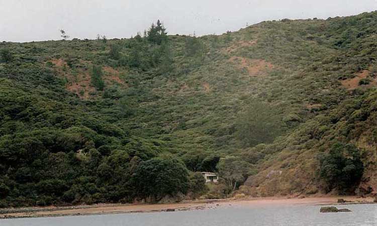 Bradshaw Cove Sm.jpg