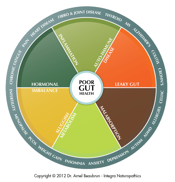 wheel copy.png