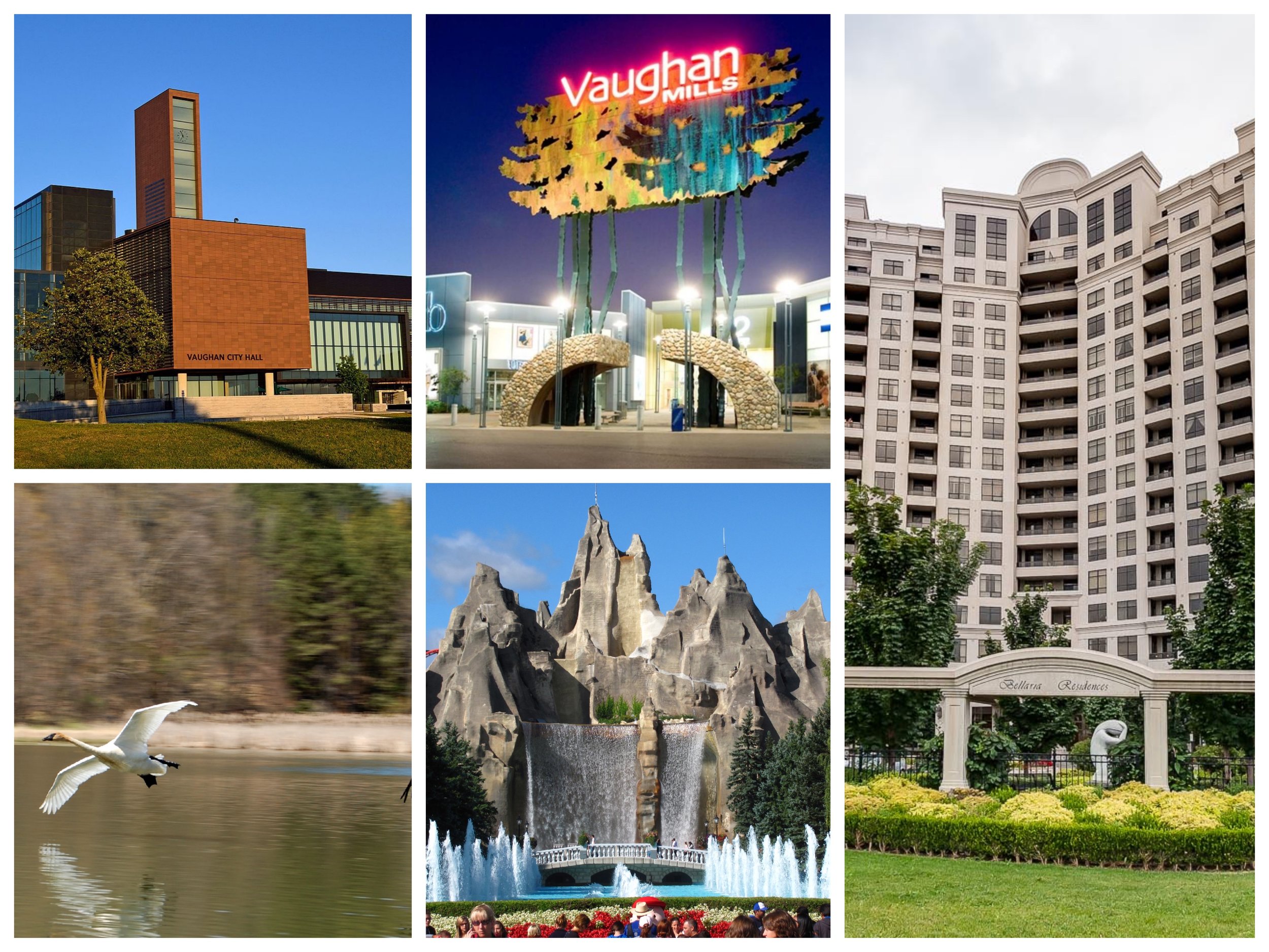 Vaughan collage.jpg