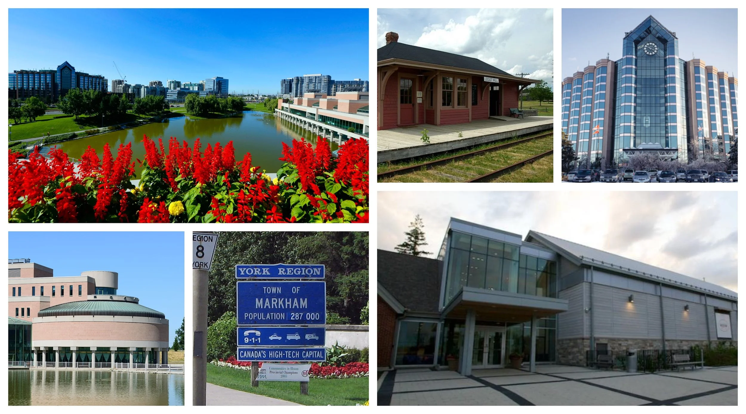 collage markham.jpg
