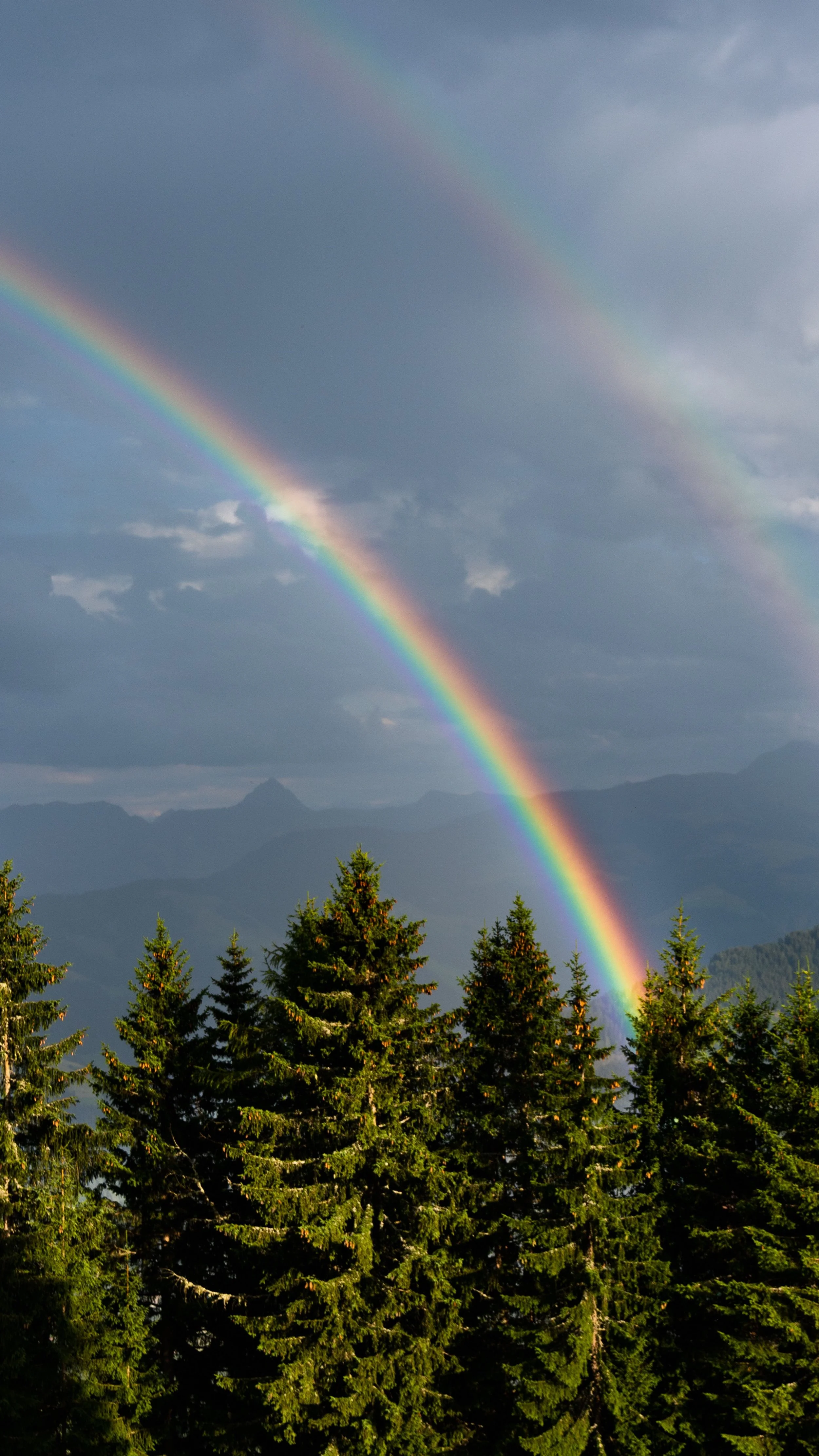 Waking Up to Signs and Synchronicities 