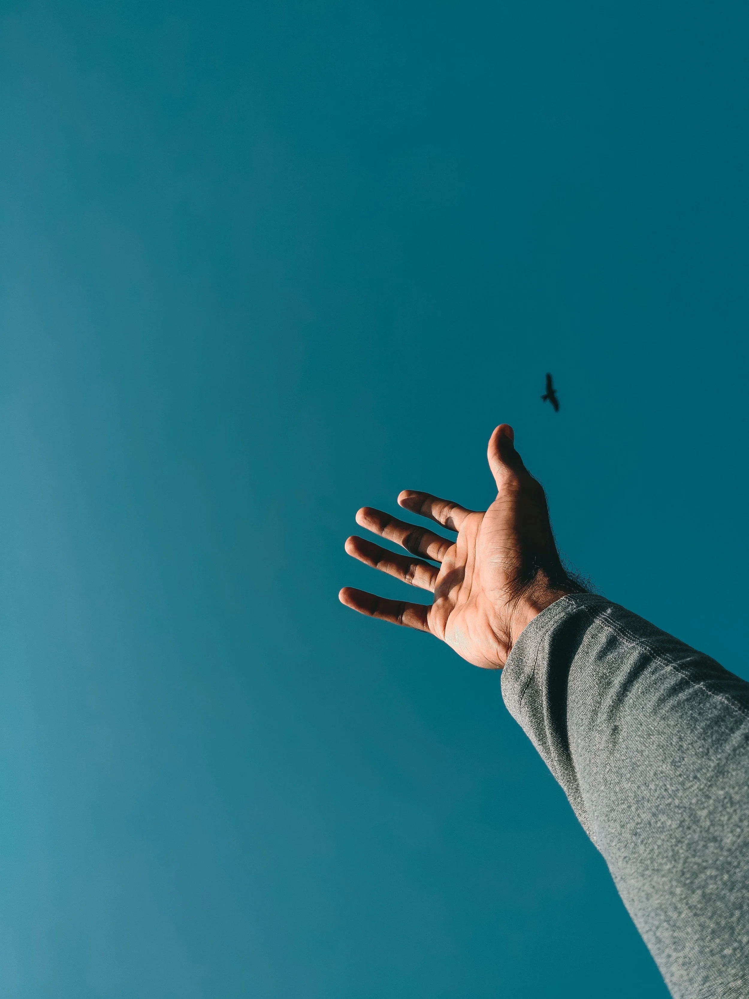 Letting Go to Receive