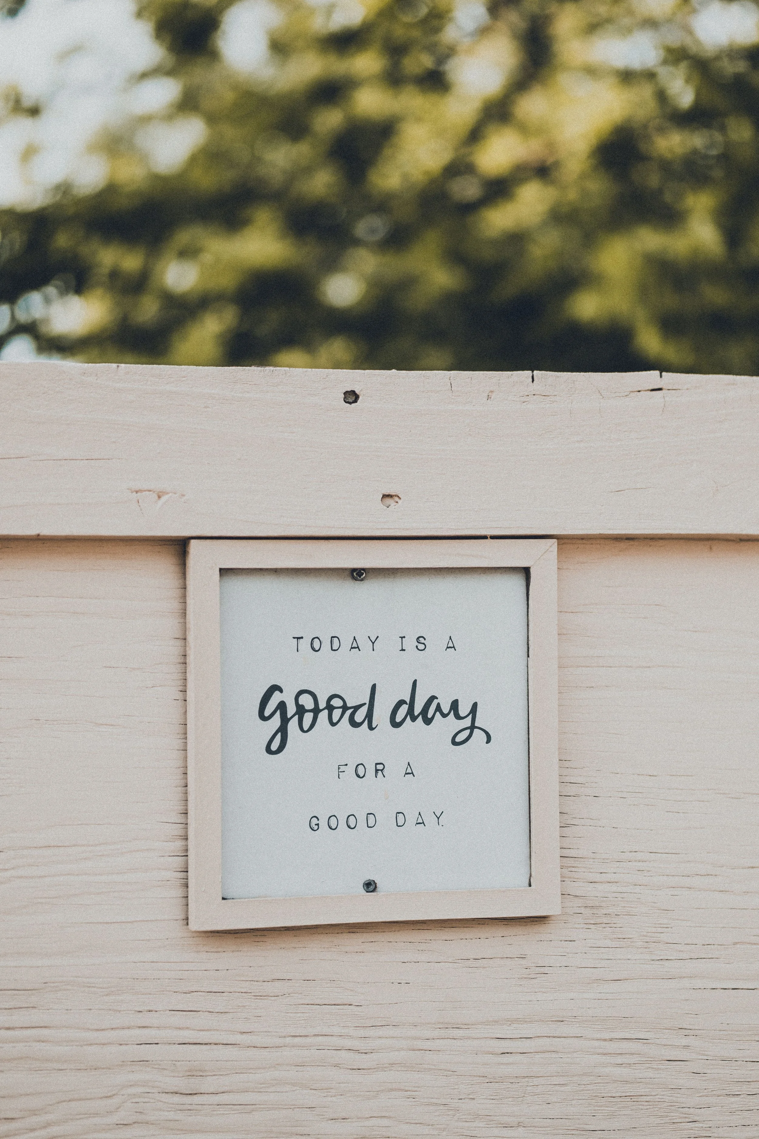 The Law of Attraction: What You Focus On Grows 