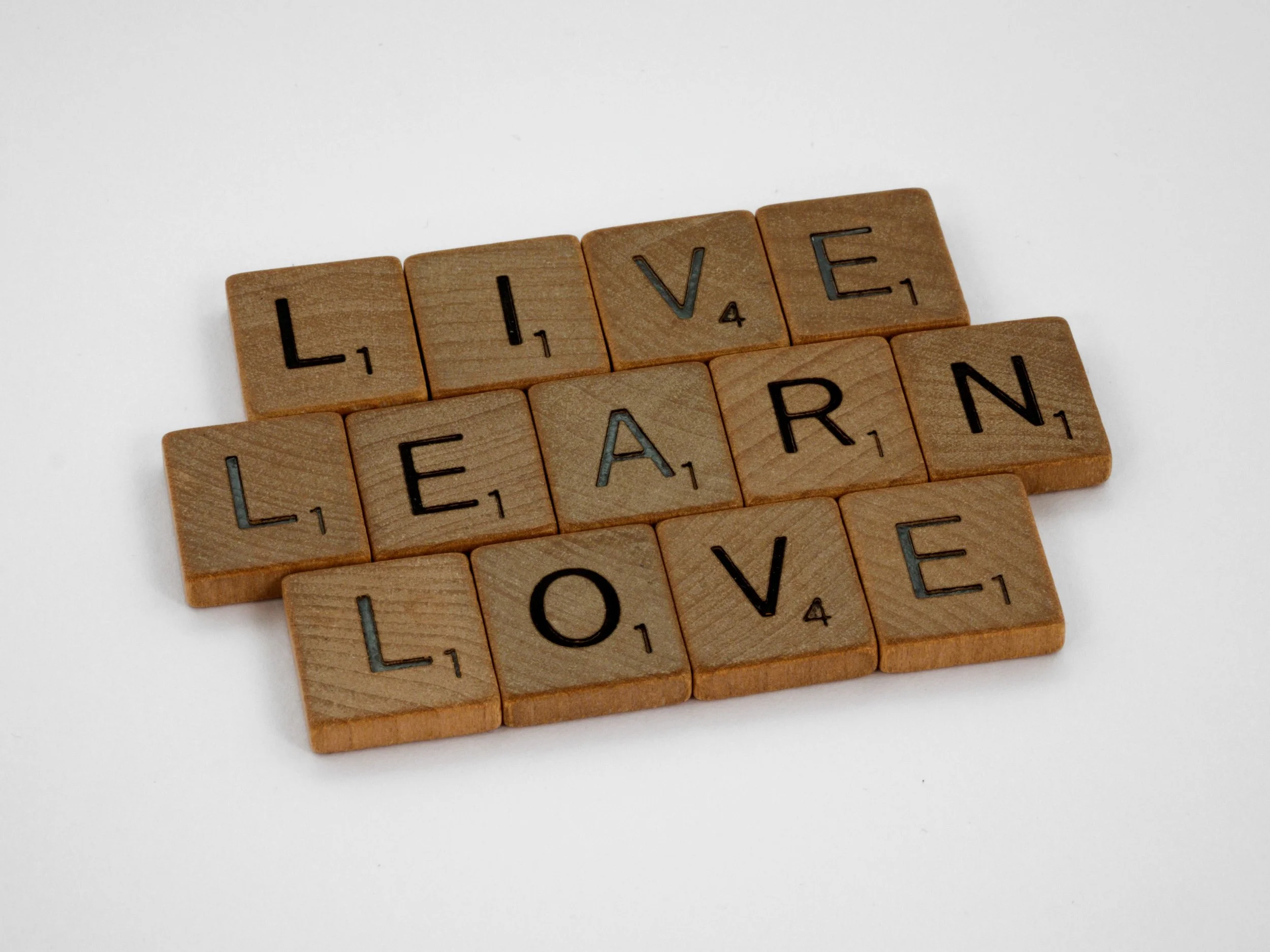 A Soul's Curriculum