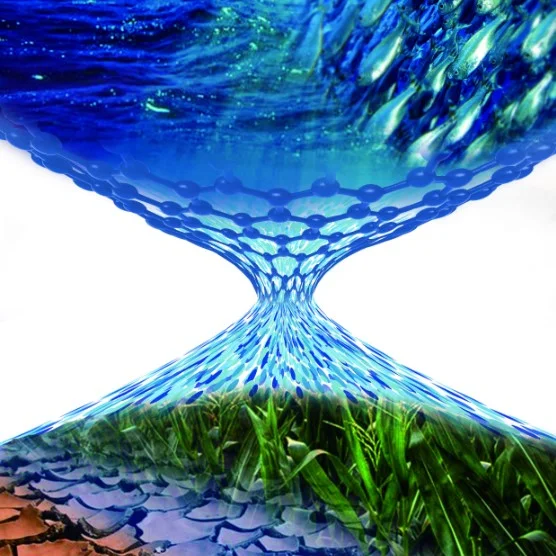 A large-area atomically thin graphene nanomesh membrane with excellent mechanical strength for ionic and molecular nanofiltration. Credit: Quan Yuan
