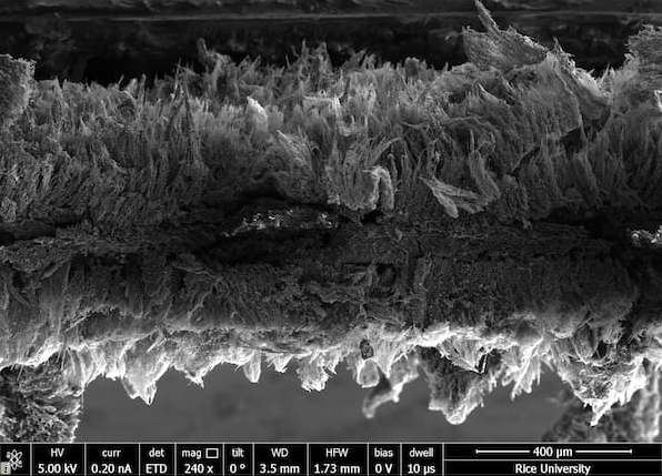 Seen in an electron microscope image, micron-scale sheets of graphene created at Rice University form a two-layer air filter that traps pathogens and then kills them with a modest burst of electricity. Courtesy of the Tour Group