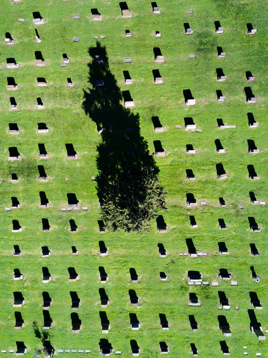  High Noon, Oakland, California 