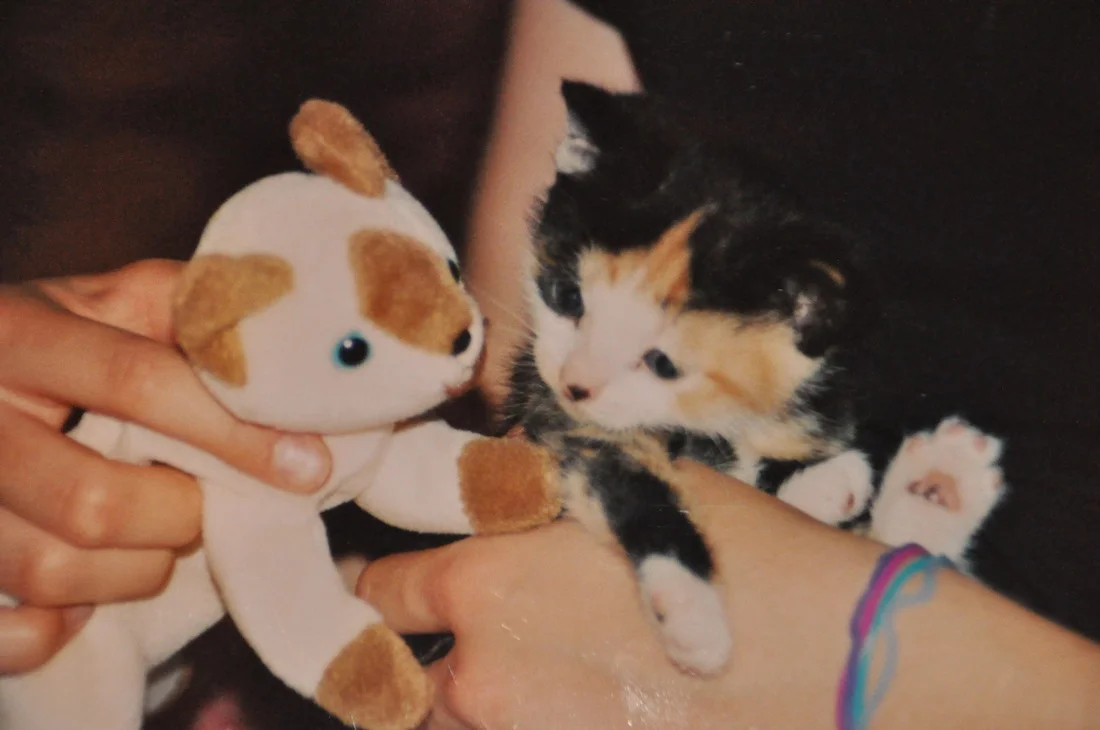 MariahRiess_DoverPetLoss_Lilly.jpg