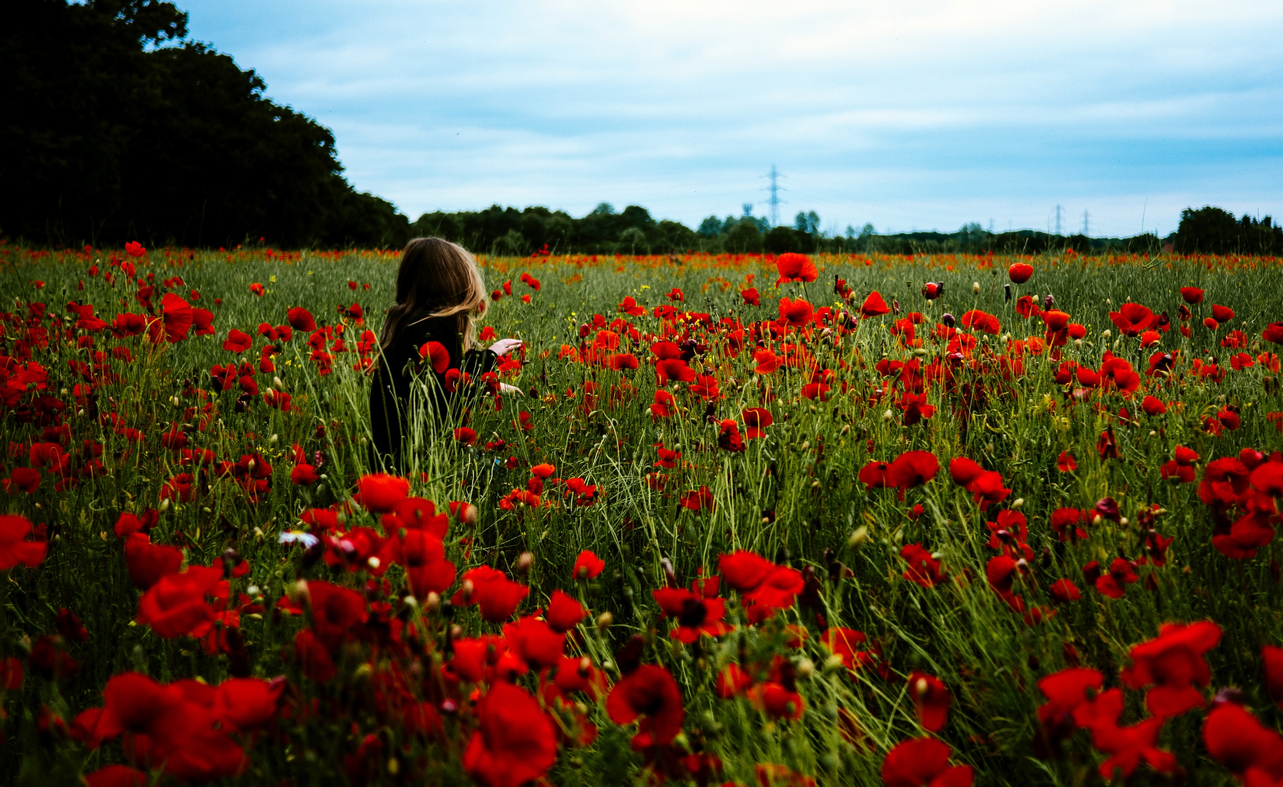 REMEMBRANCE DAY 2020