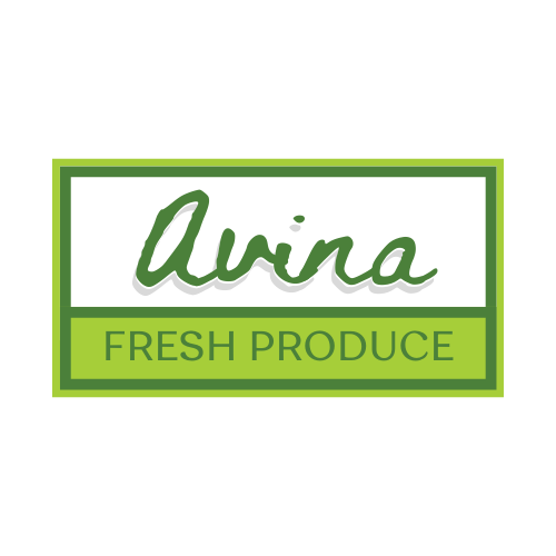 Avina Logo NEW.png