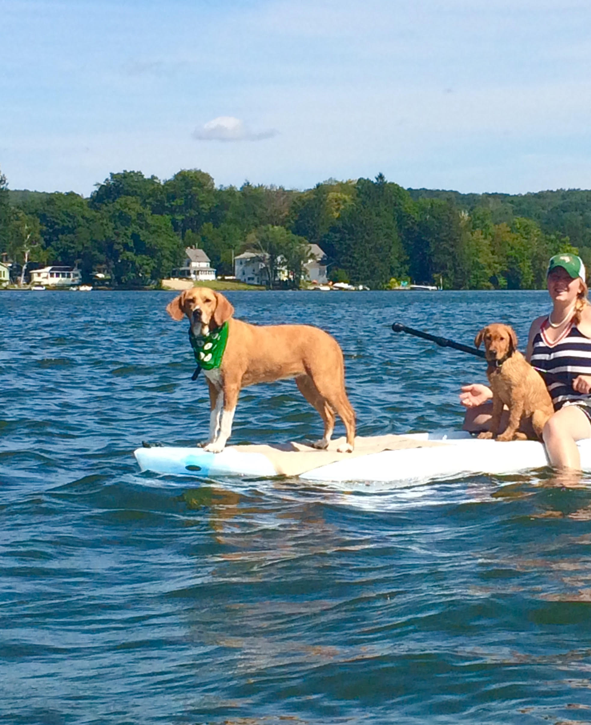 paddle boarding.jpg