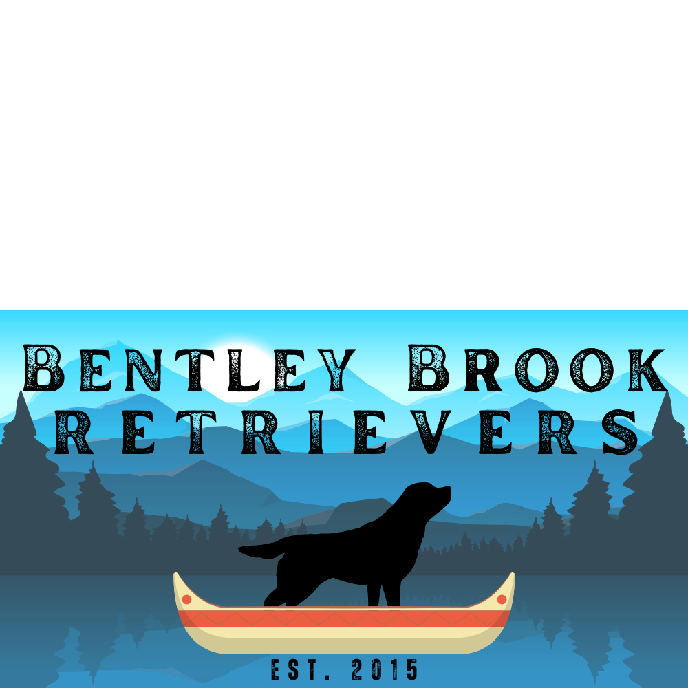 Bentley Brook (1).png