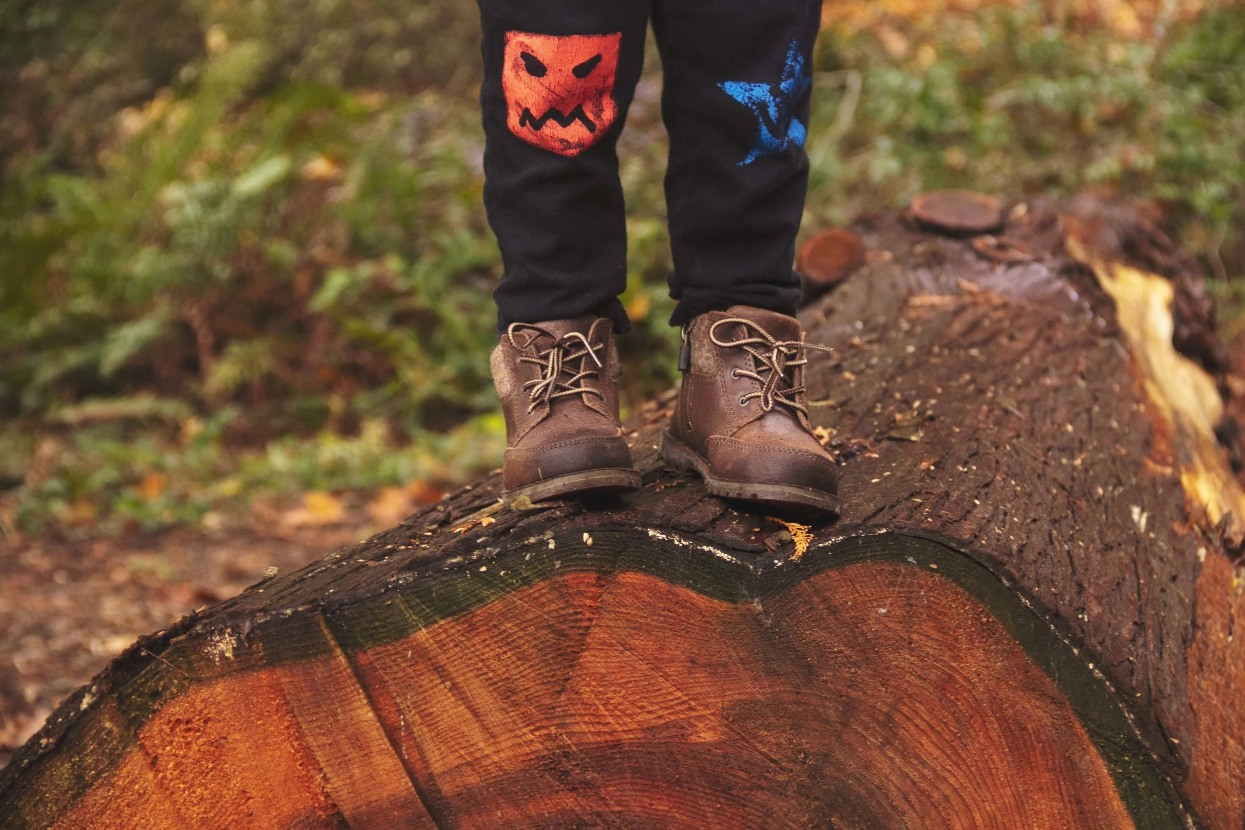 20181103_0086-HDR.jpg