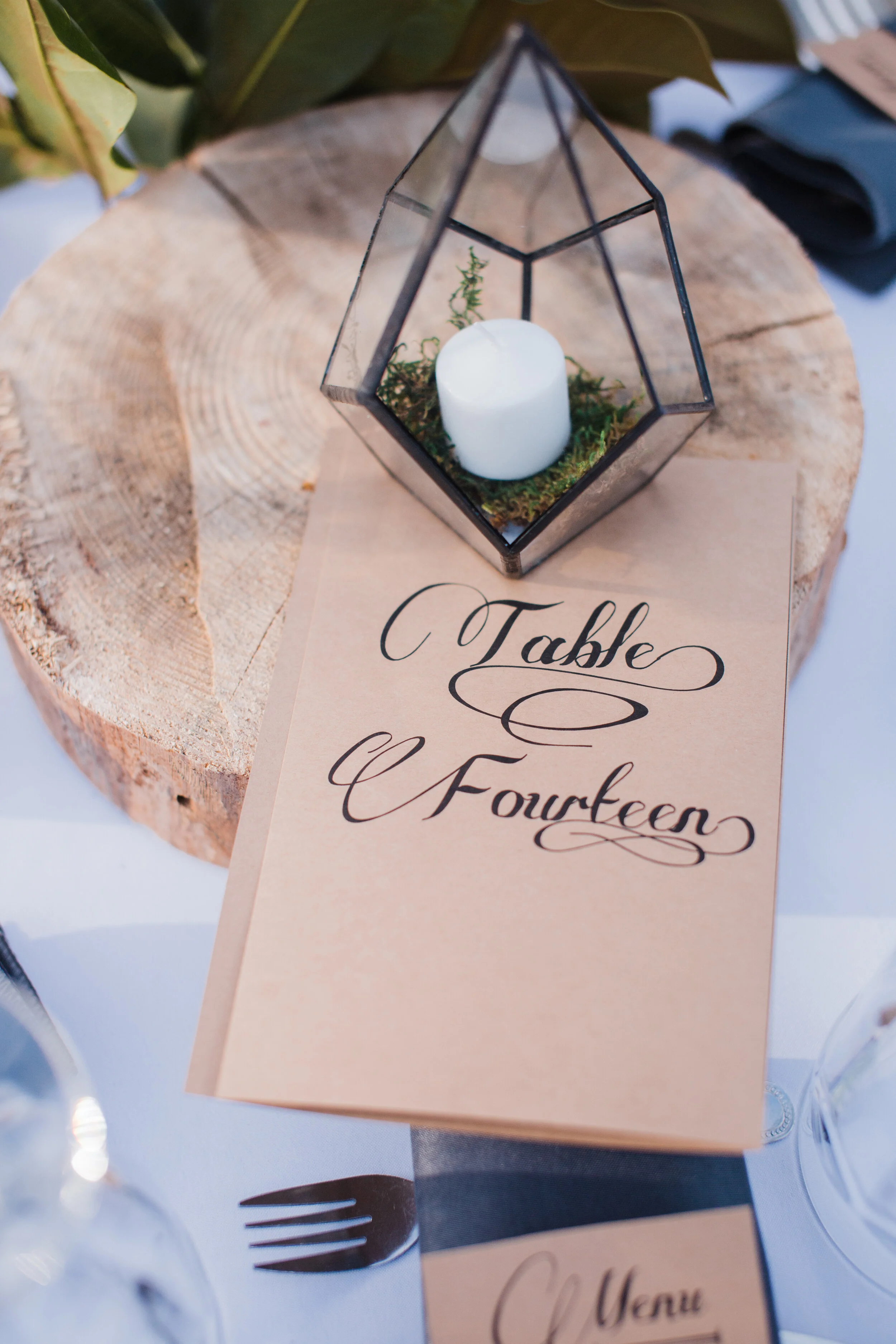 Glass Geo-Terrariums