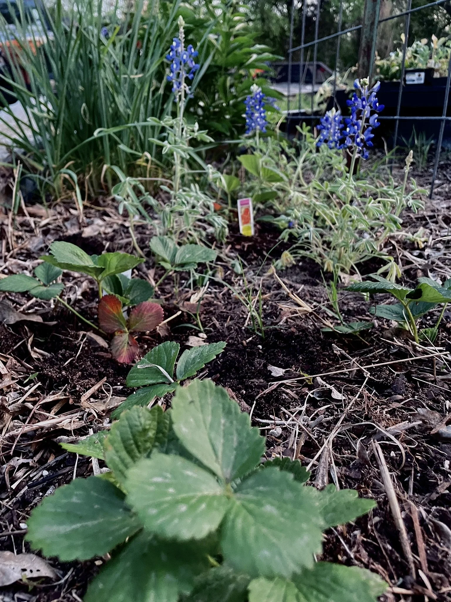 Dirt Under Their Nails