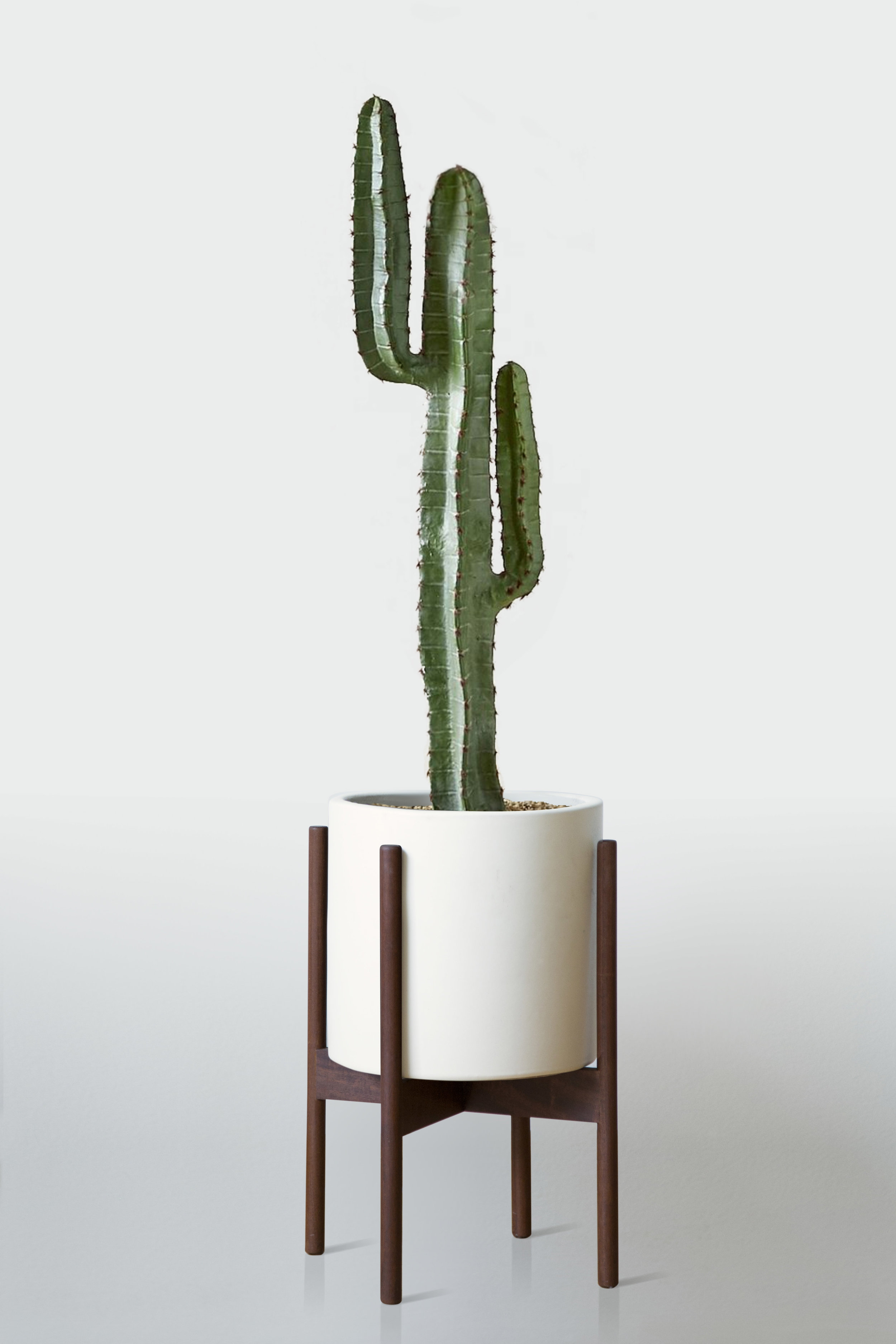 WHITE | WITH STAND