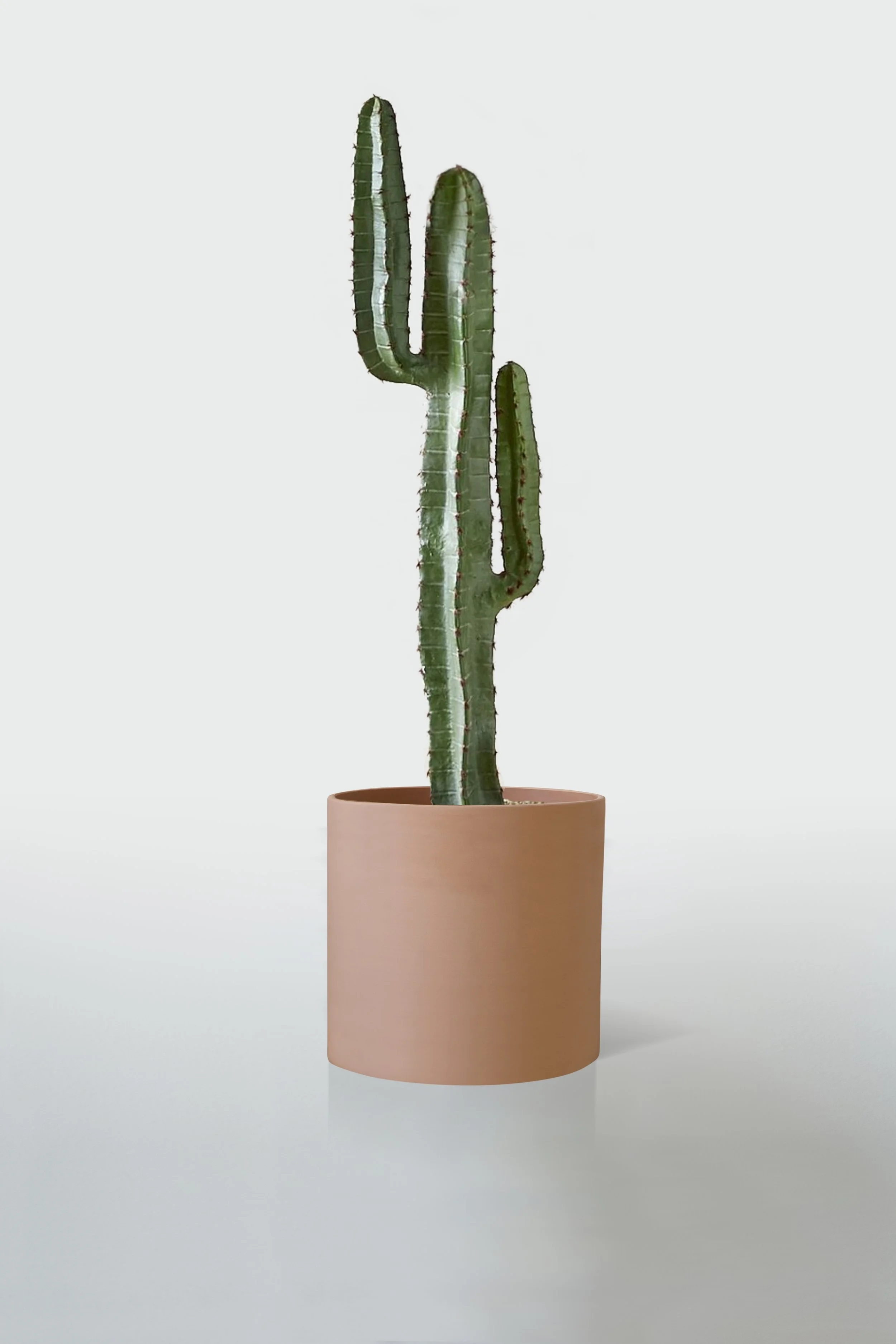 TERRACOTTA | NO STAND