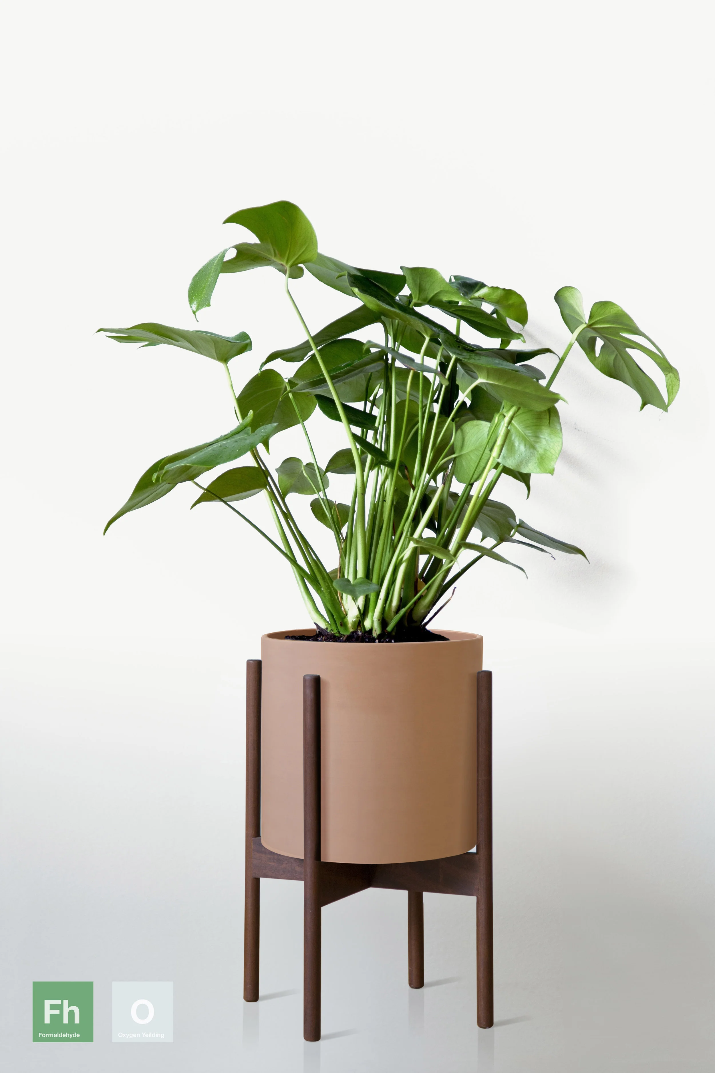TERRACOTTA | WITH STAND