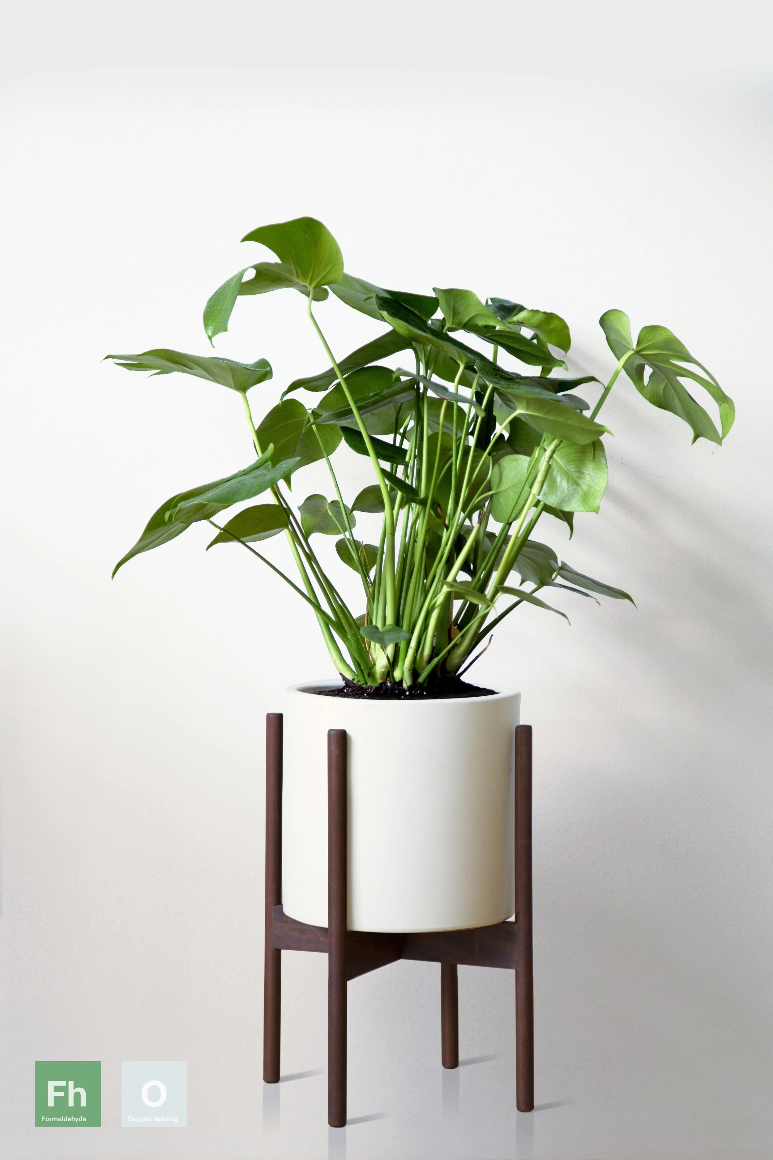WHITE | WITH STAND