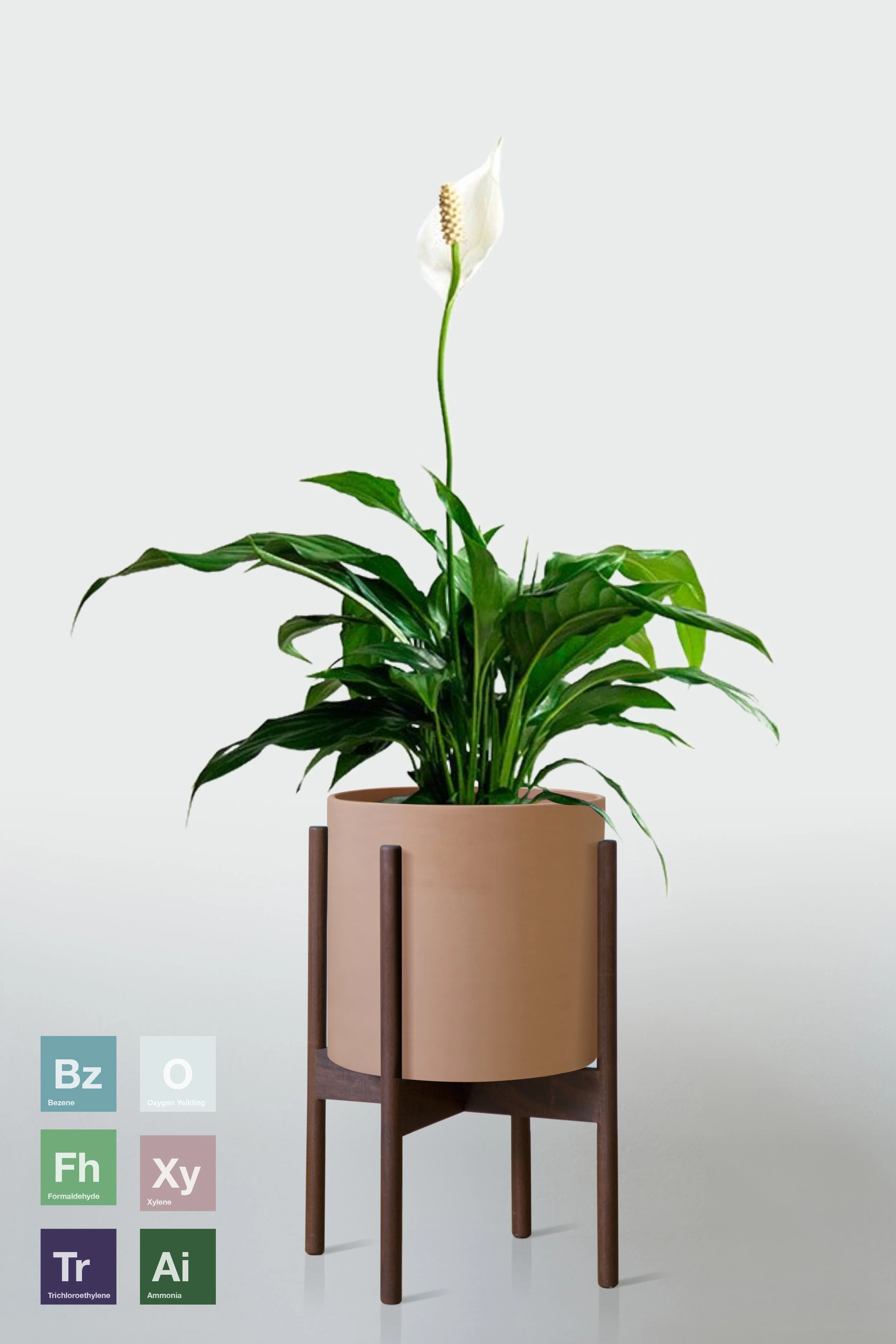 TERRACOTTA | WITH STAND