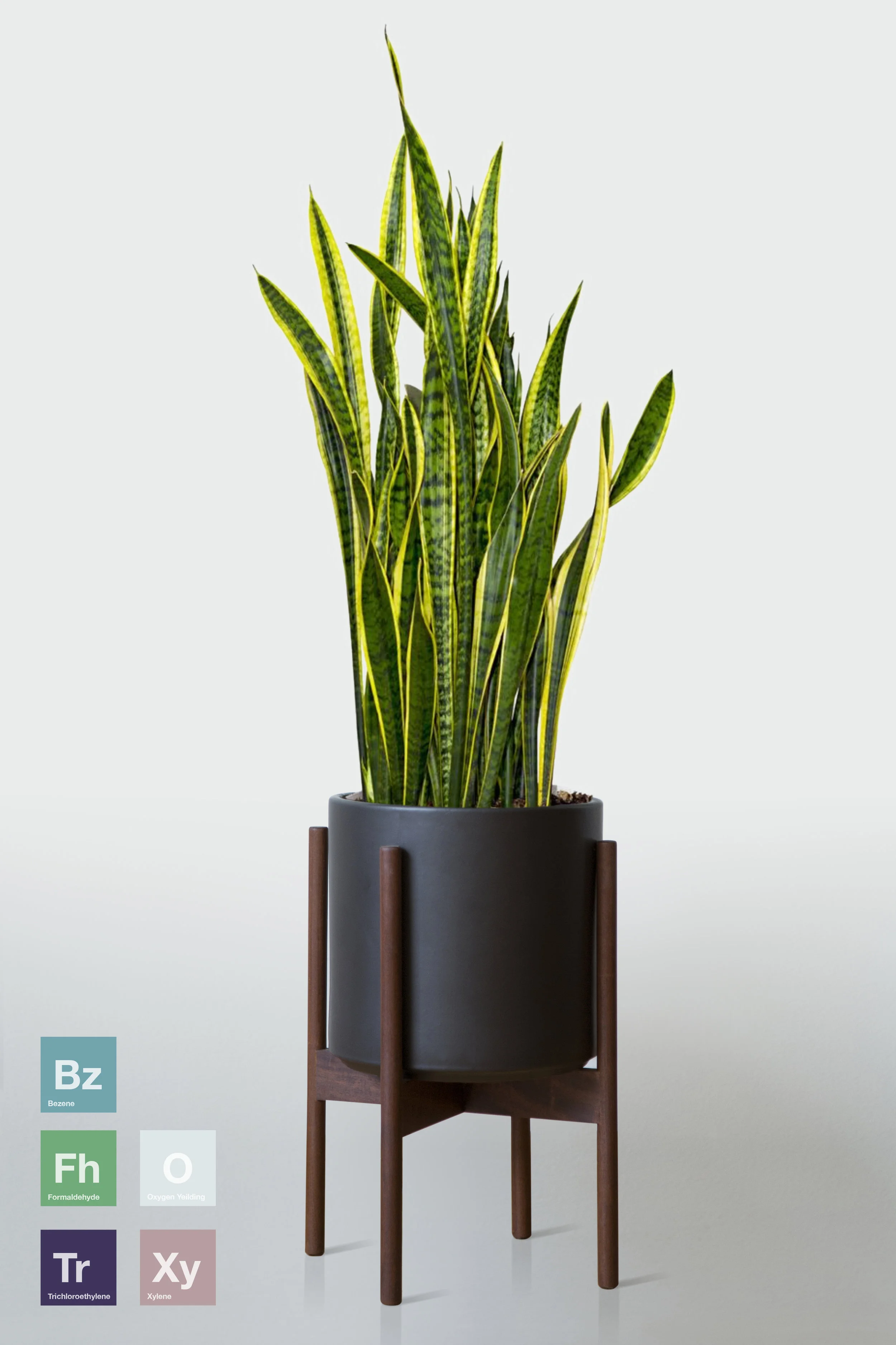 BLACK | WITH STAND