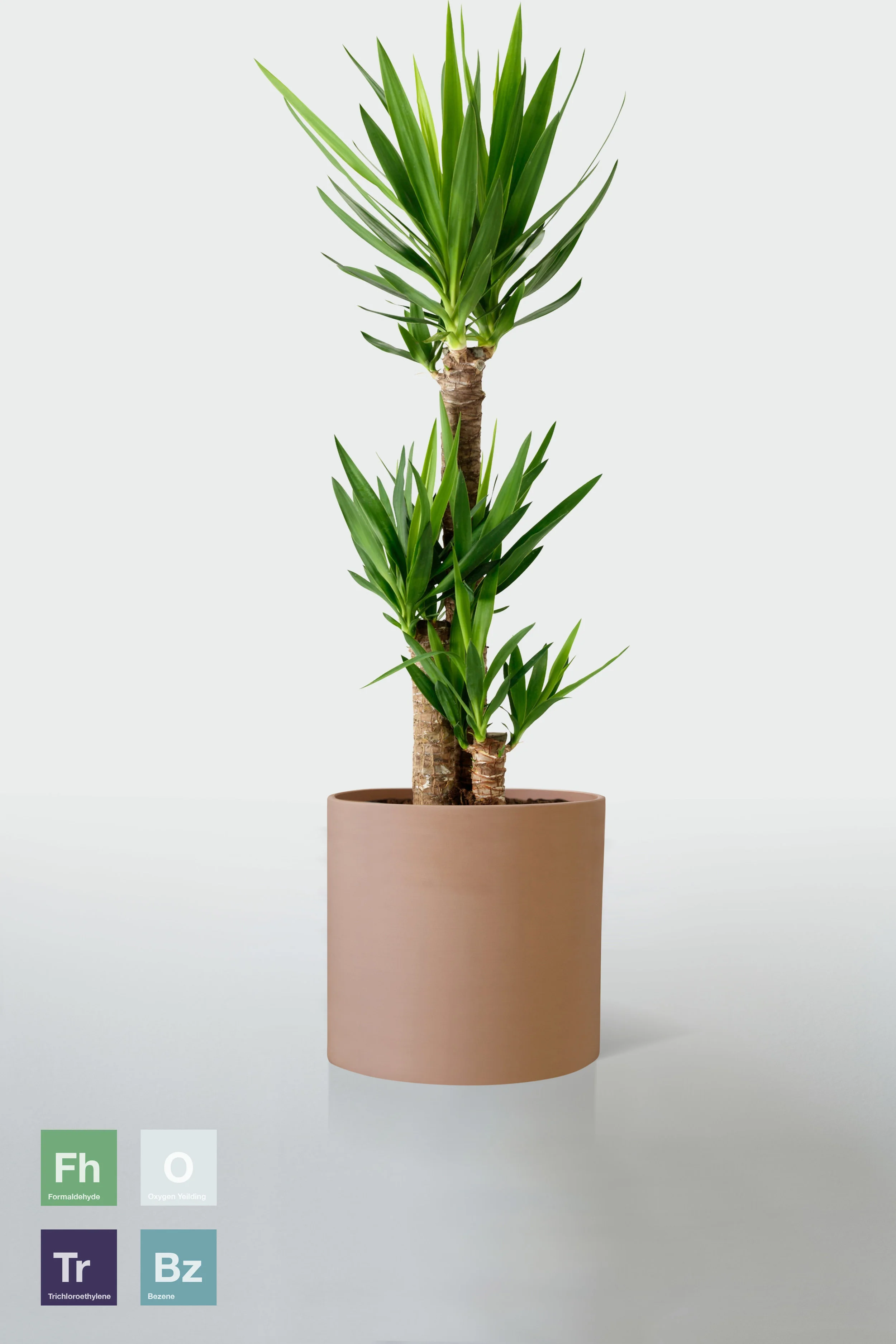 TERRACOTTA | NO STAND