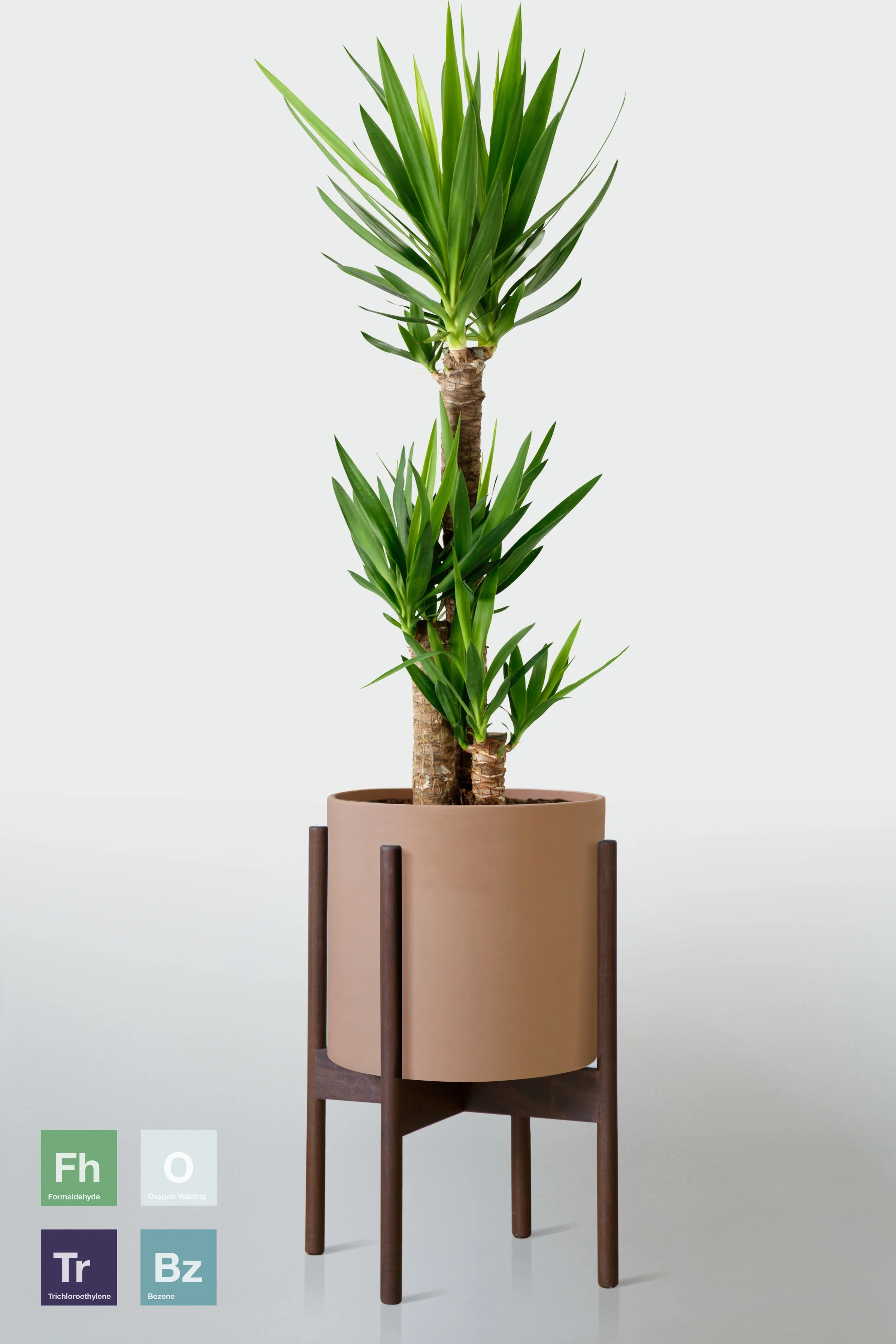 TERRACOTTA | WITH STAND