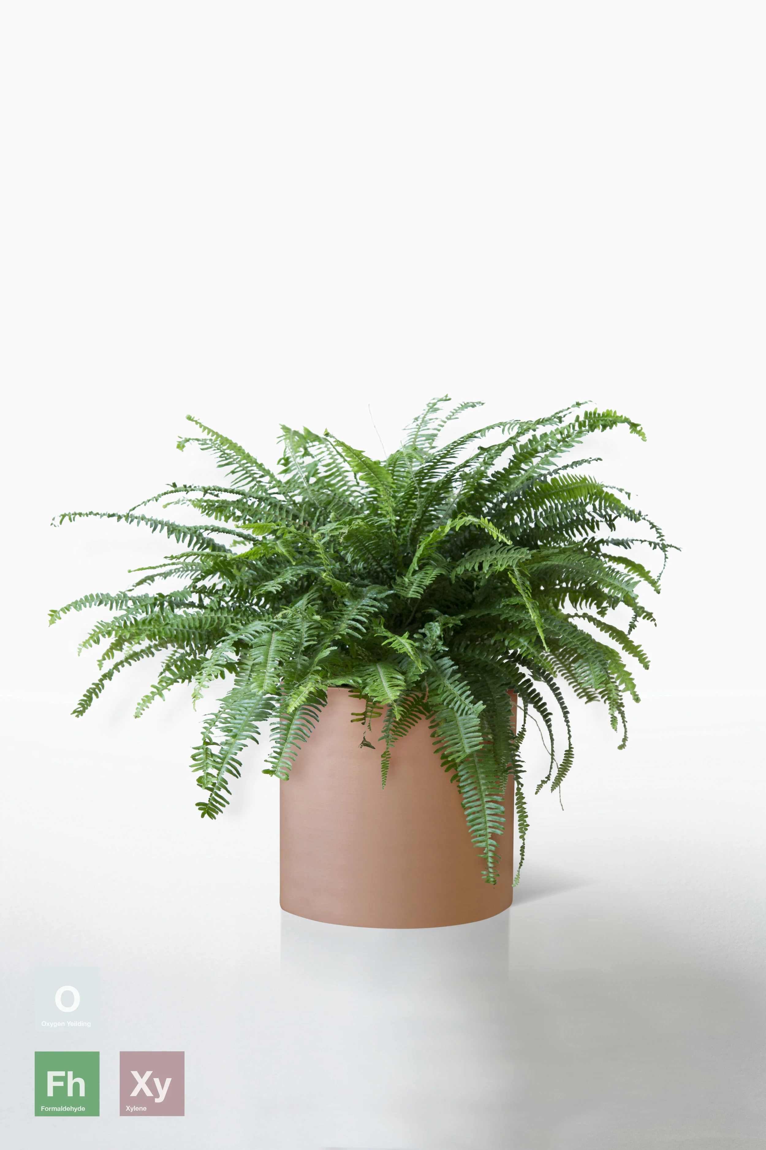 TERRACOTTA | NO STAND