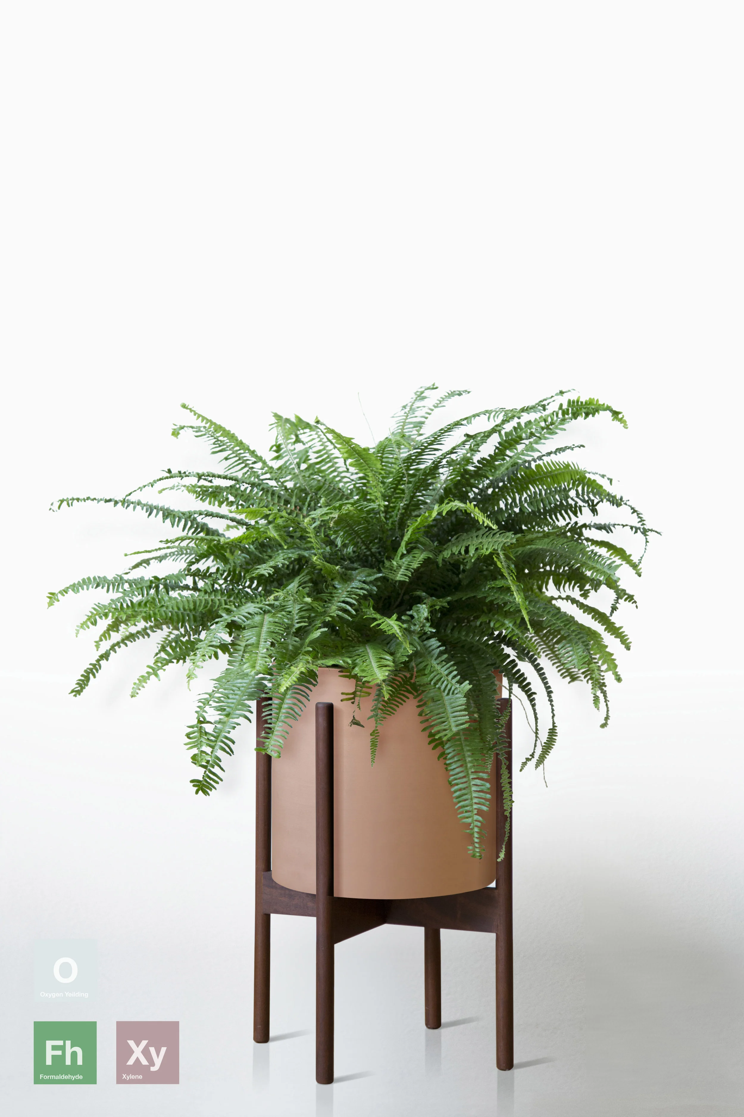 TERRACOTTA | WITH STAND