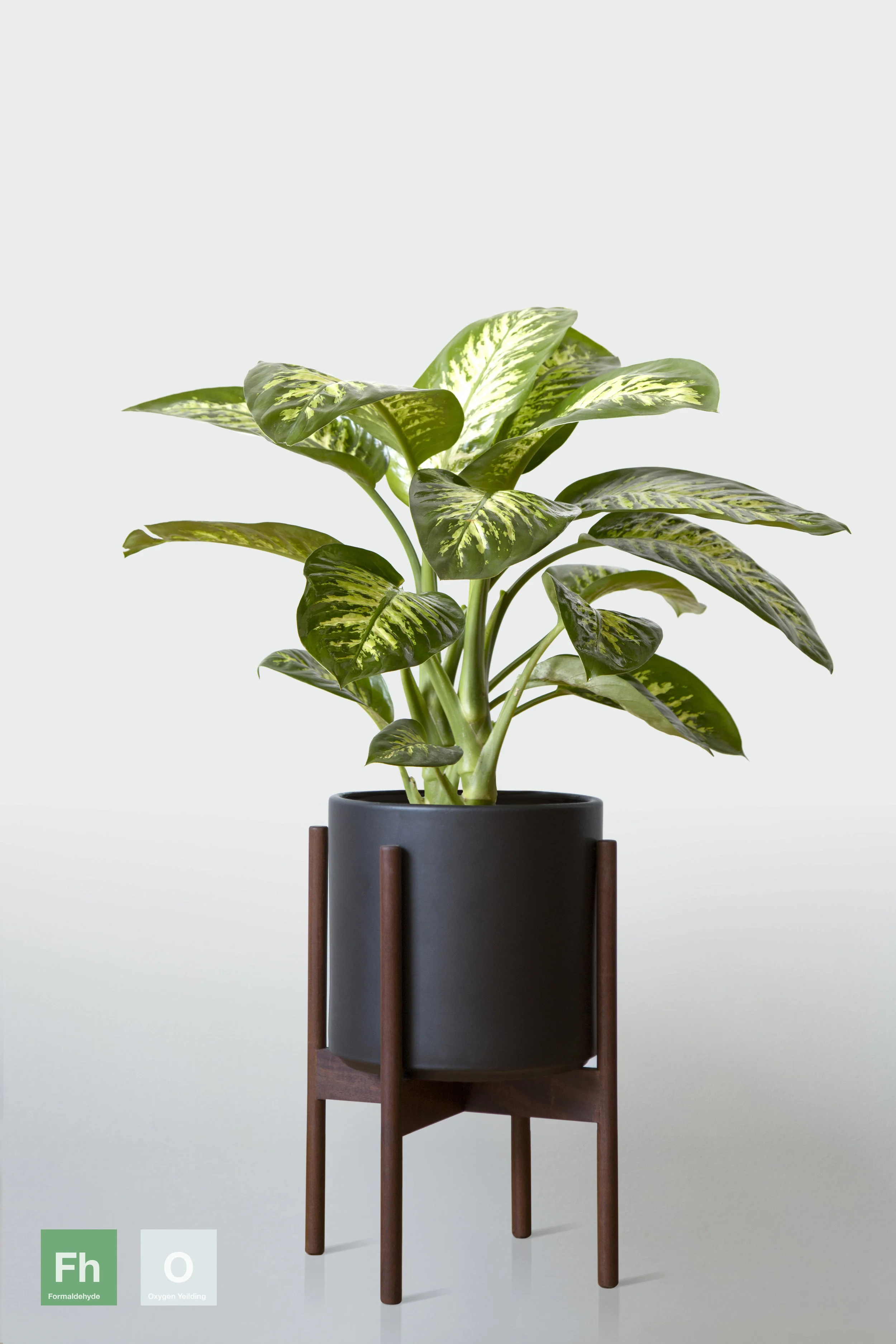 BLACK | WITH STAND