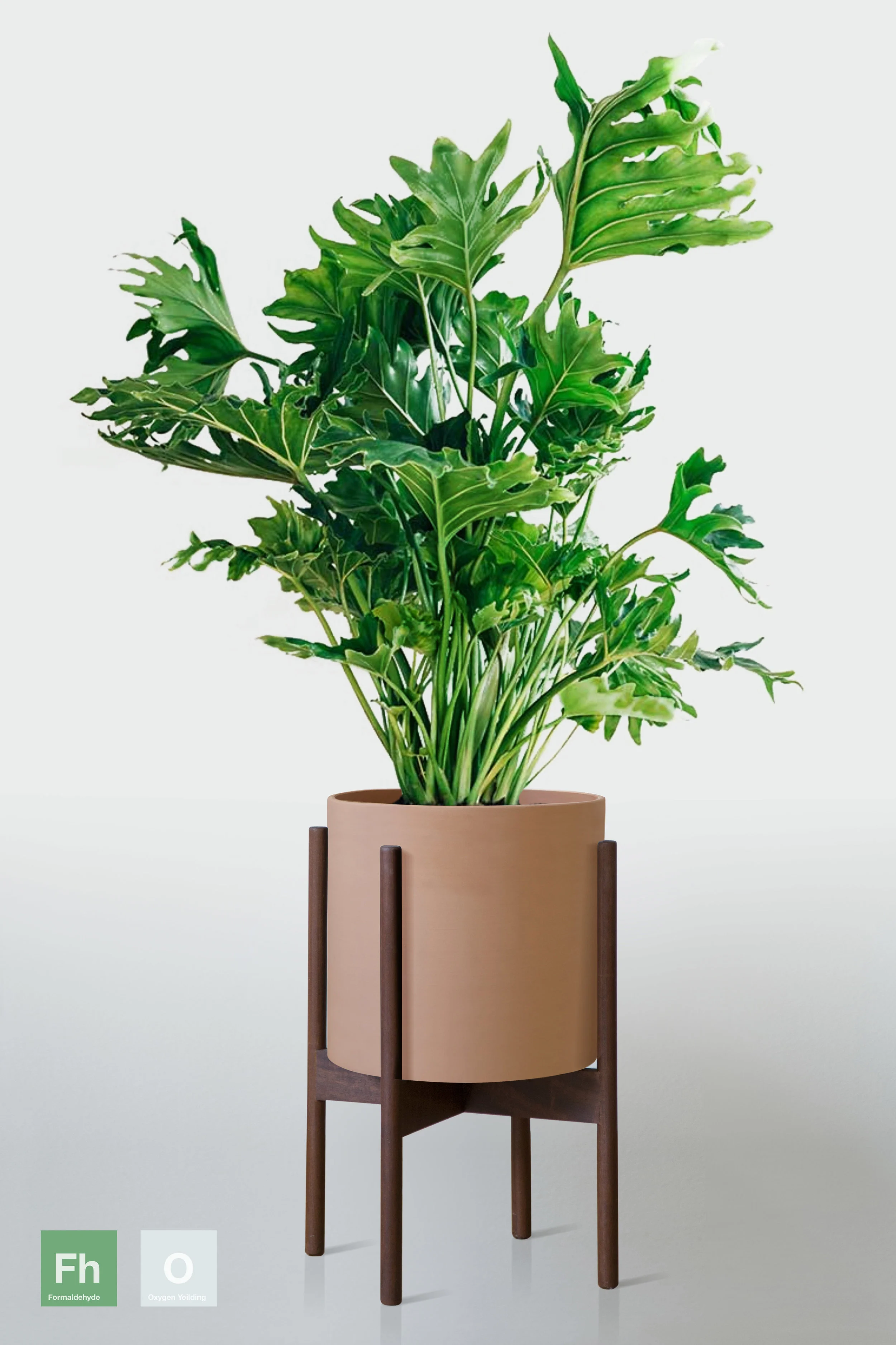 TERRACOTTA | WITH STAND