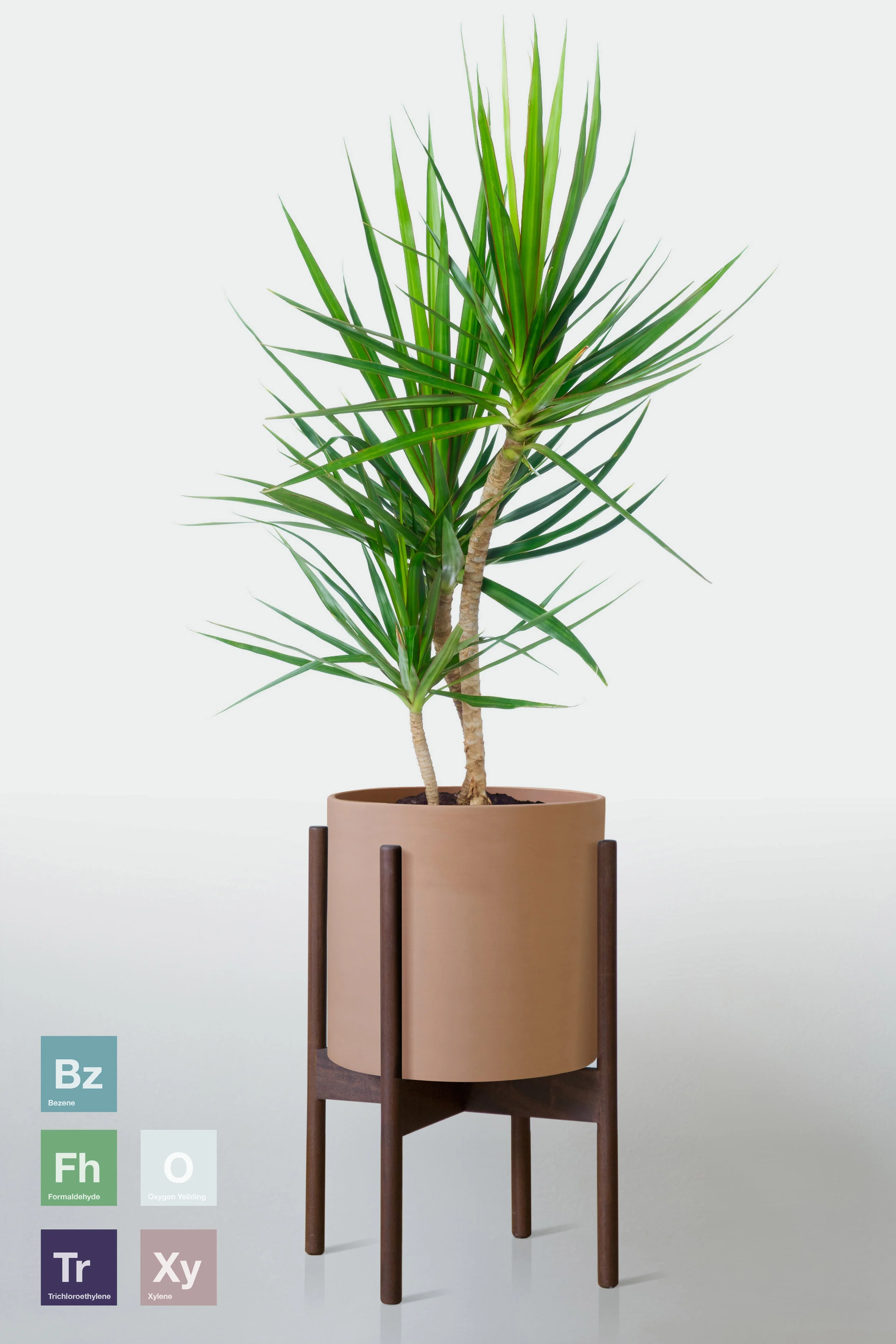 TERRACOTTA | WITH STAND