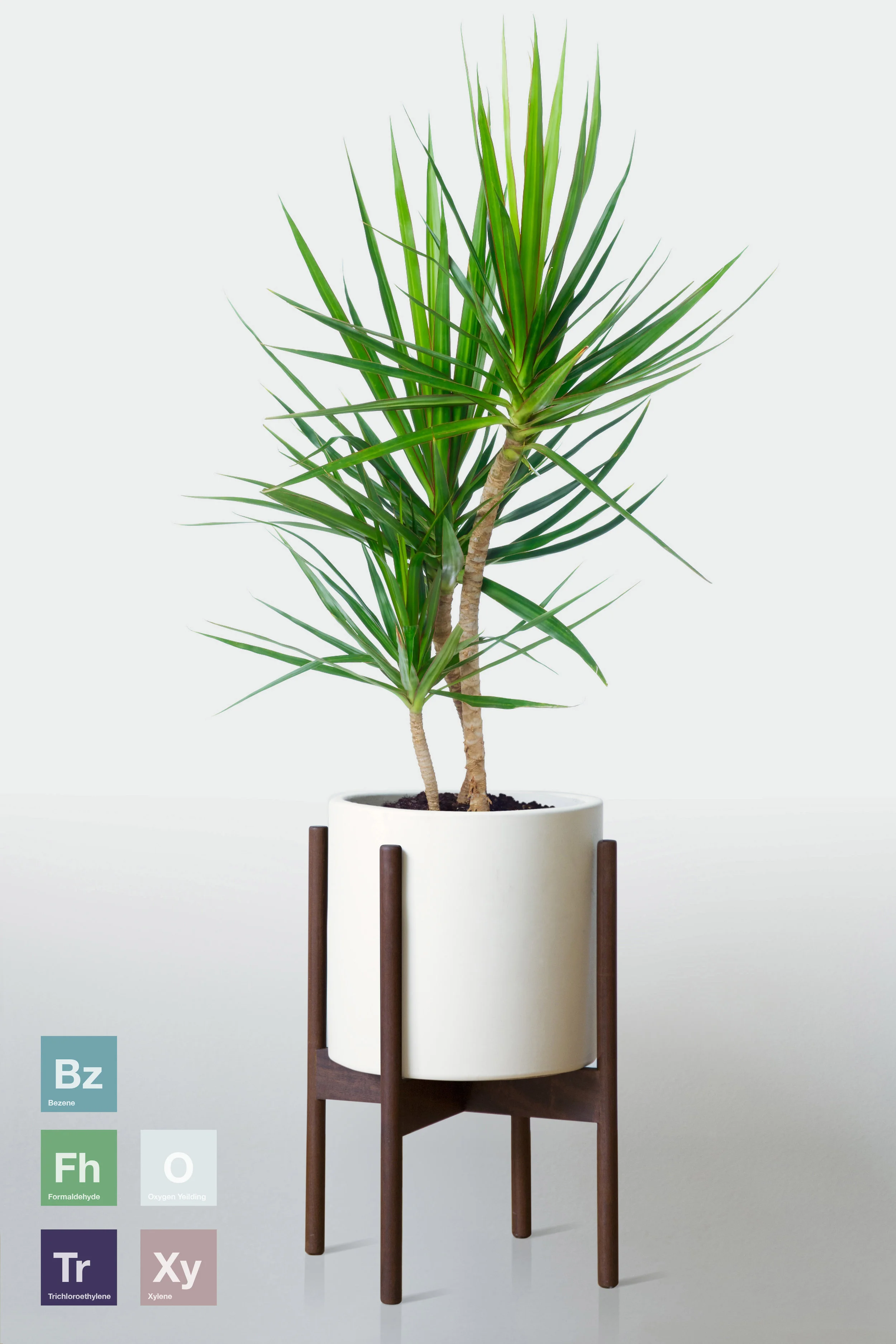 WHITE | WITH STAND
