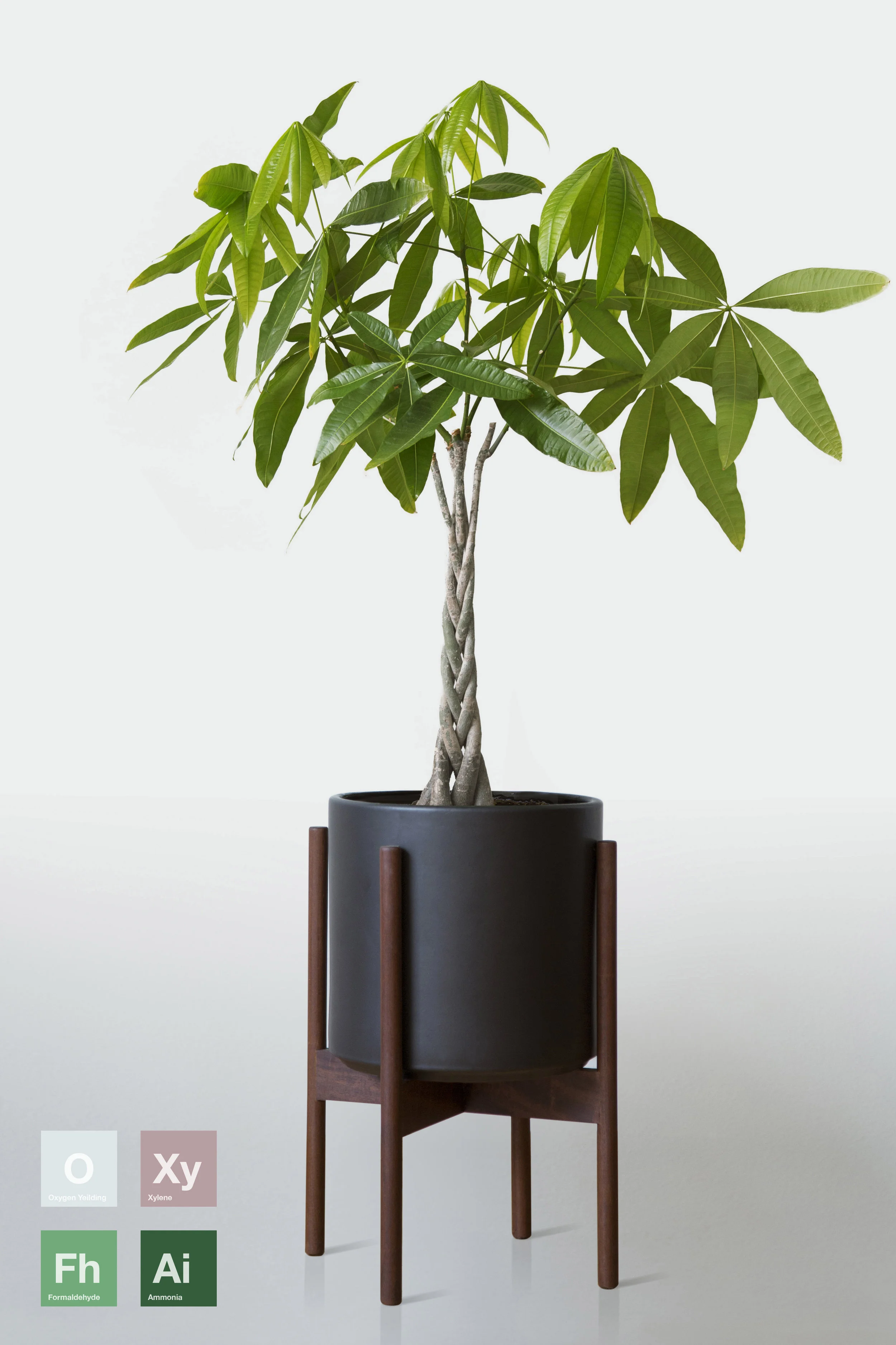 BLACK | WITH STAND