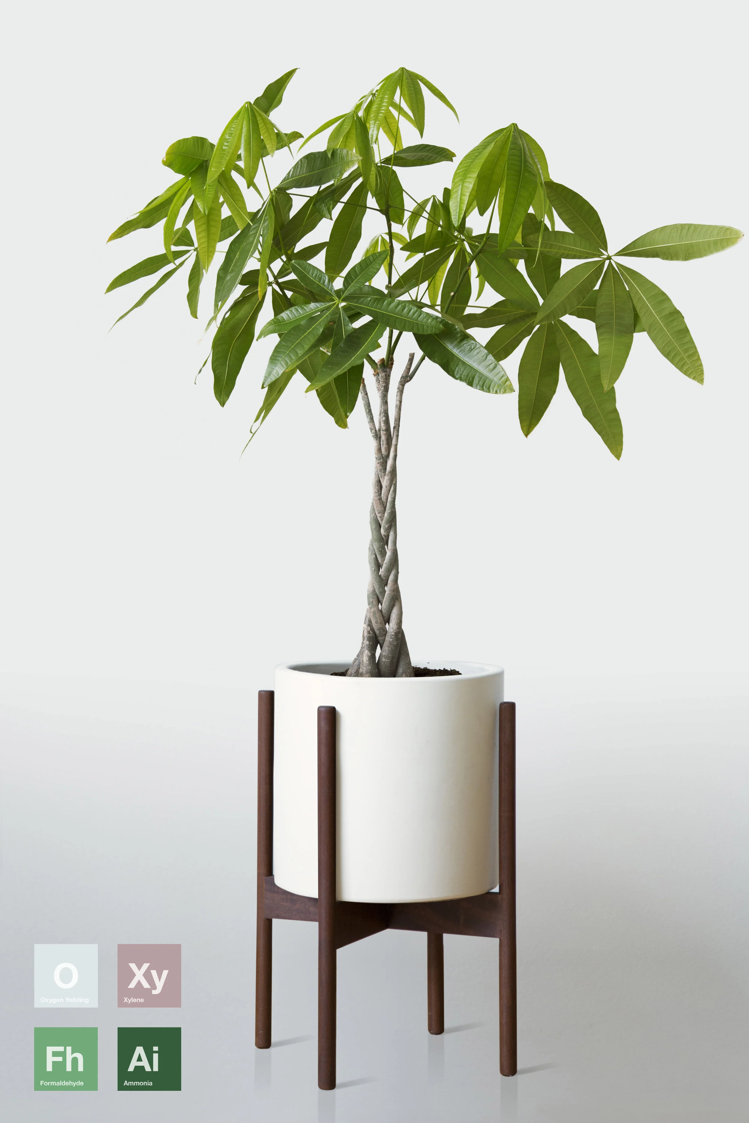 WHITE | WITH STAND