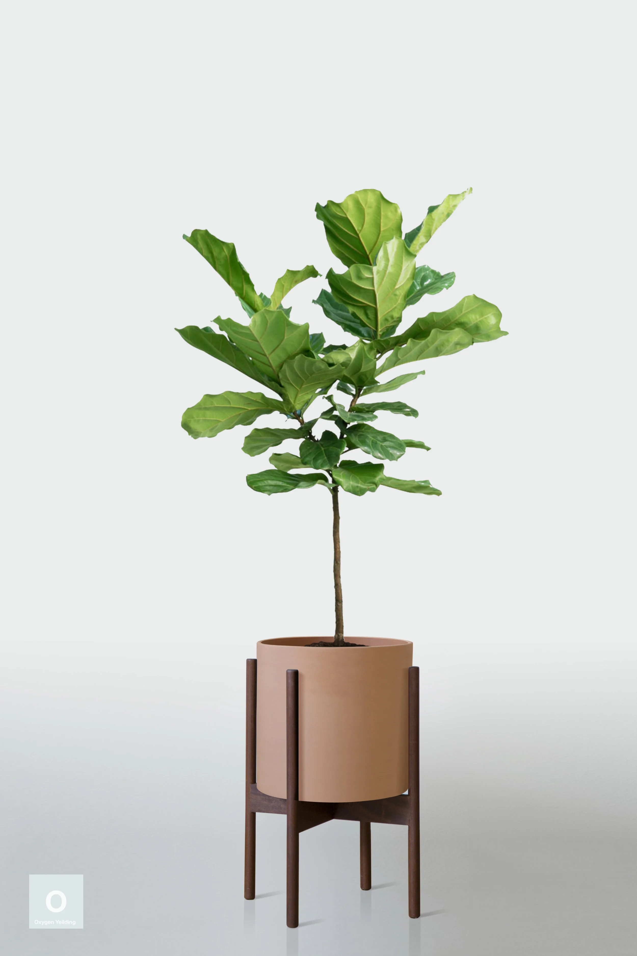 TERRACOTTA | WITH STAND
