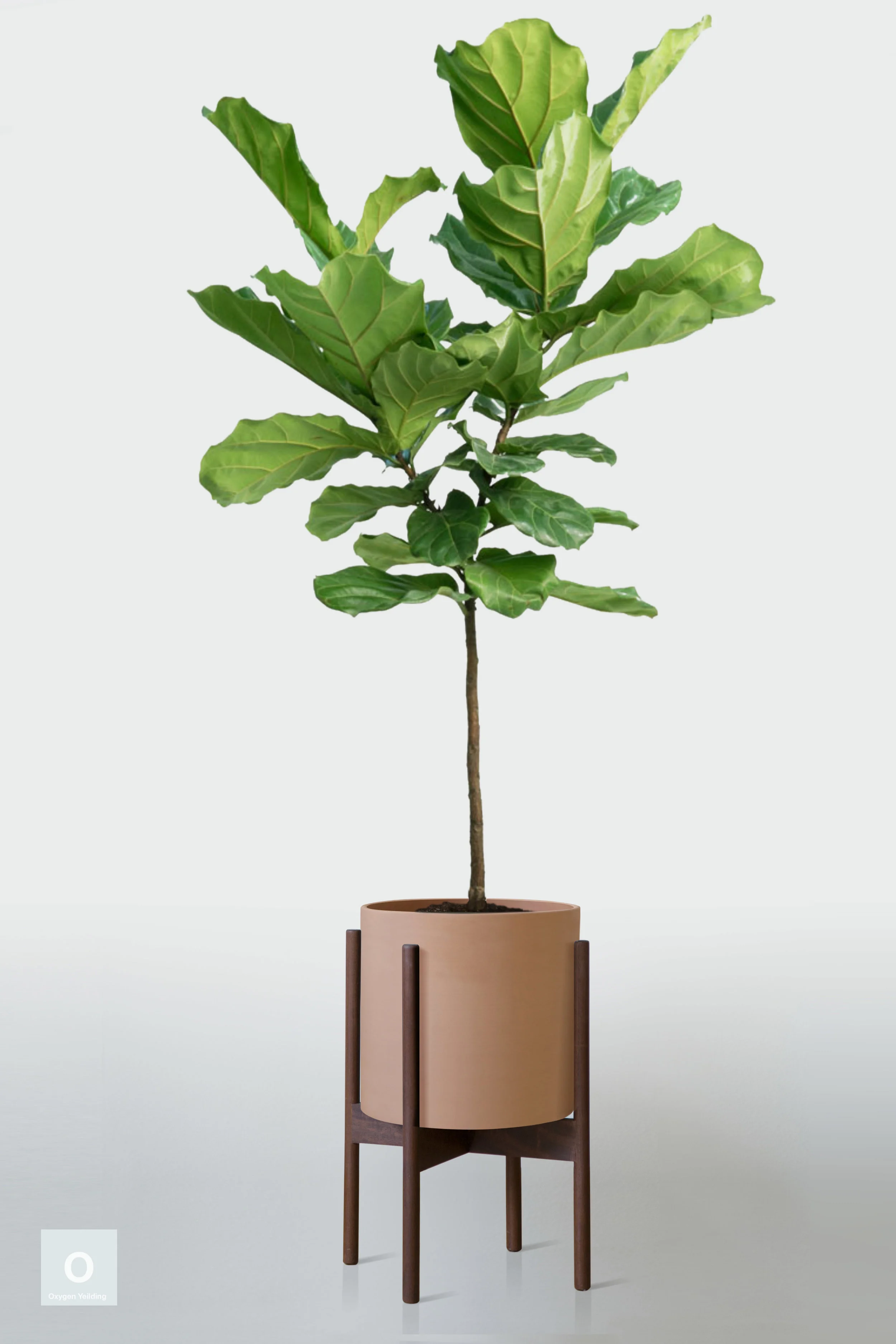 TERRACOTTA | WITH STAND