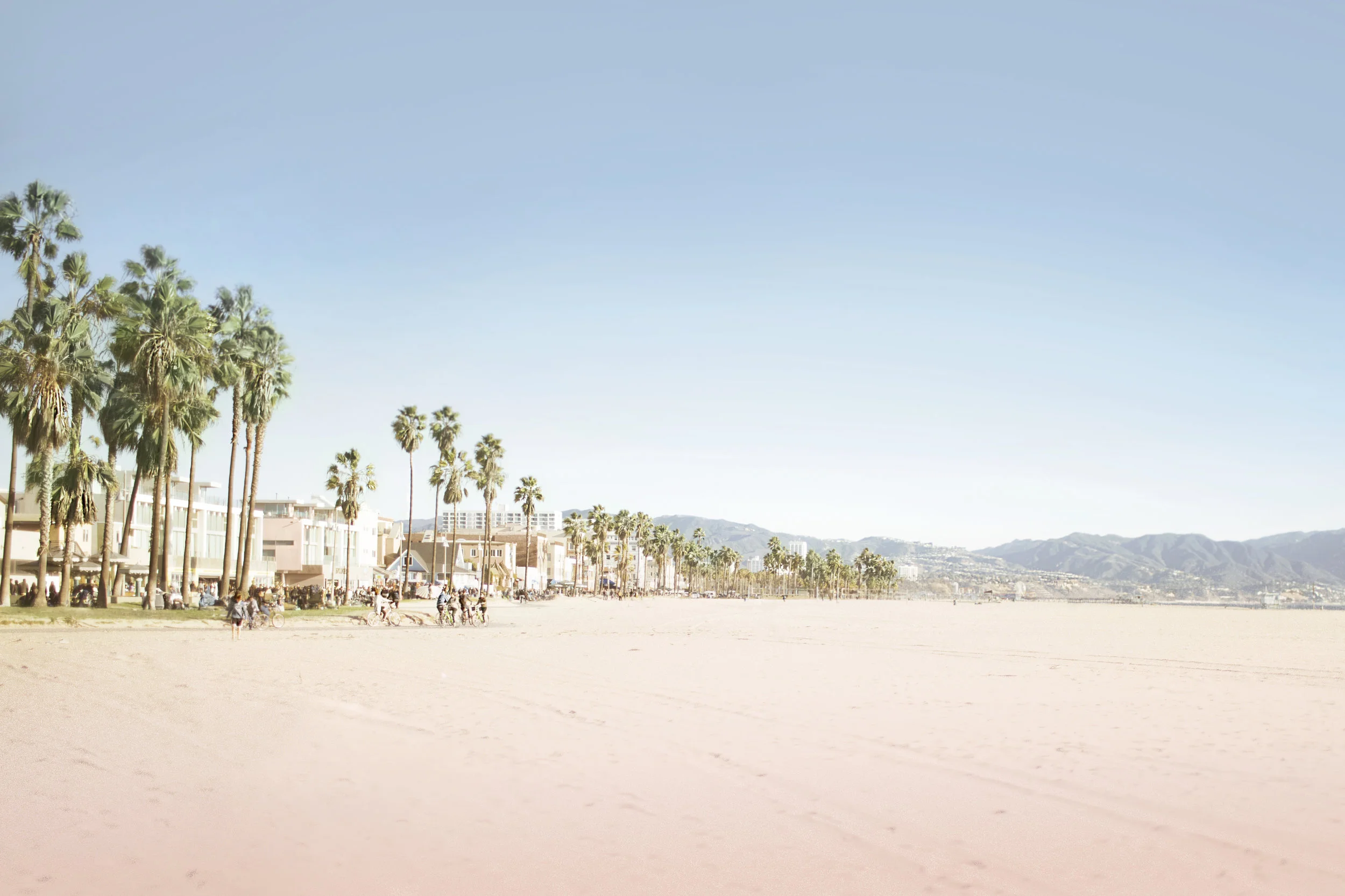 15 CALI (VENICE BEACH).jpg