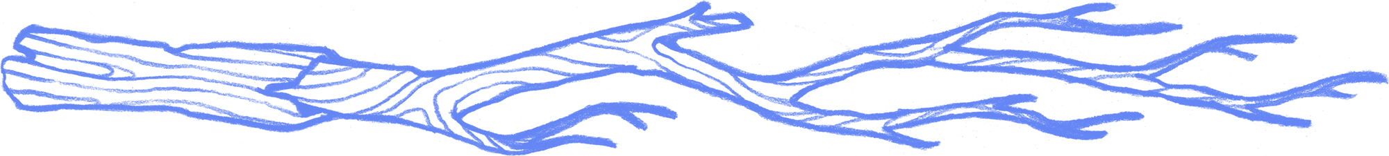 Branch7.png