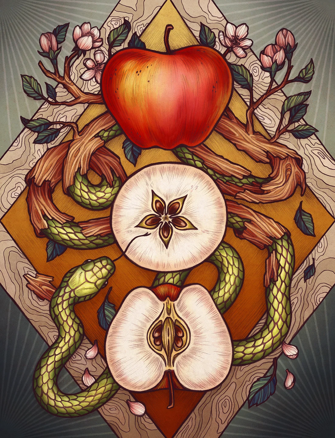 KateOHaraIllustratedHerbiaryApple.jpg