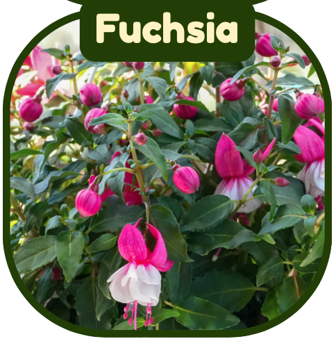 Screenshot 2026-02-22 at 9.40.15 PM.png