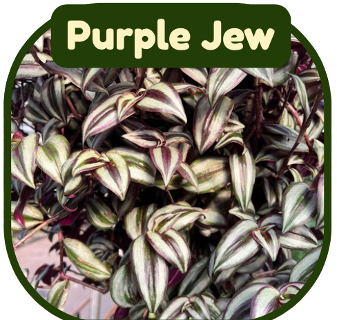 Screenshot 2026-02-22 at 9.39.52 PM.png