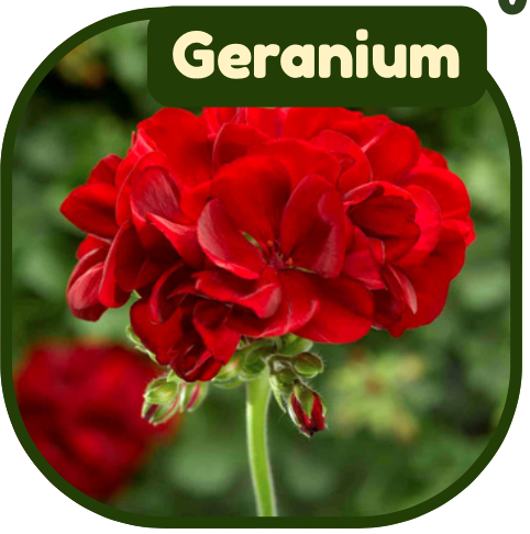 Screenshot 2026-02-22 at 9.39.36 PM.png