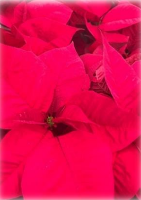 Screenshot 2026-02-22 at 9.37.27 PM.png