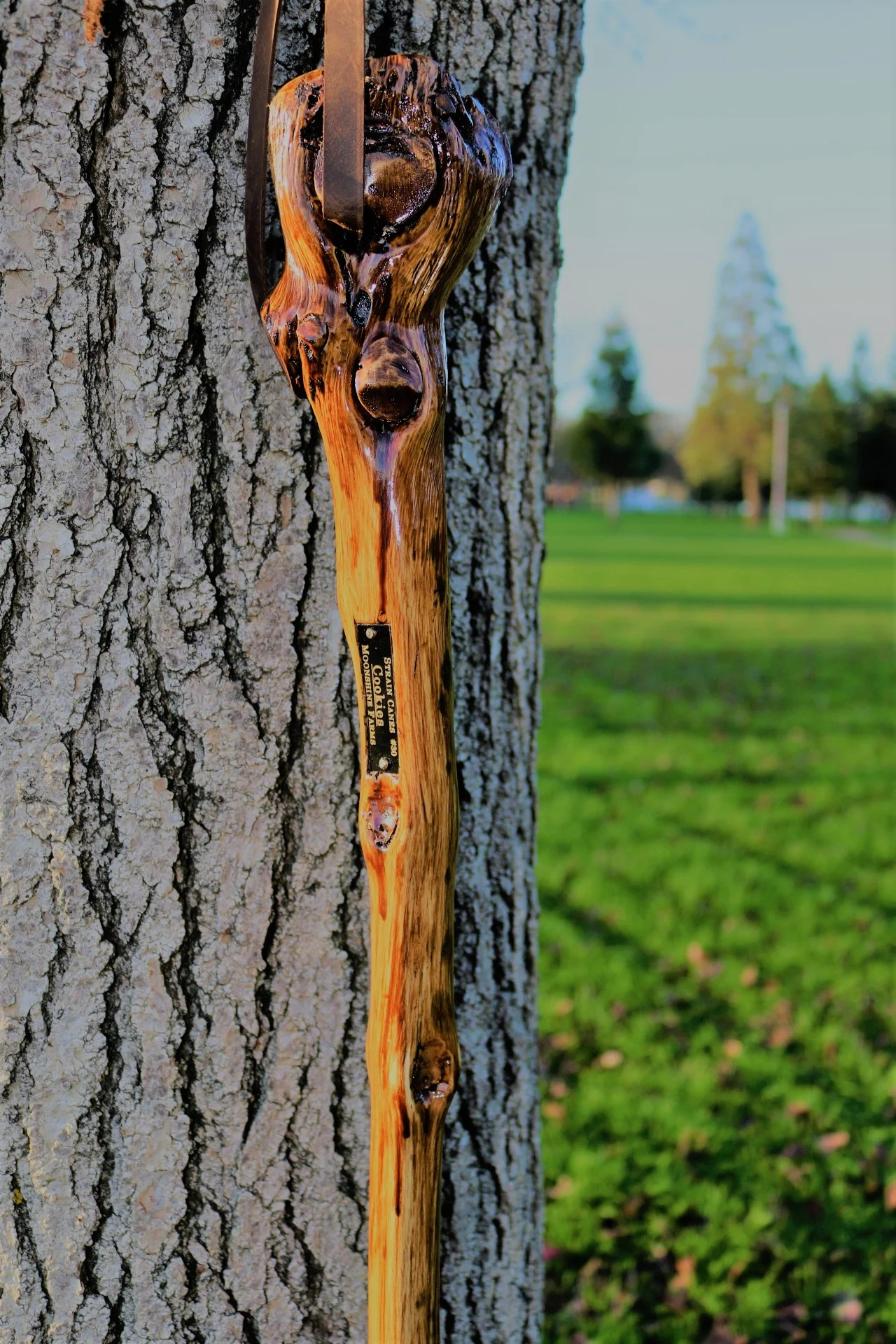 55'' Cookies walking staff