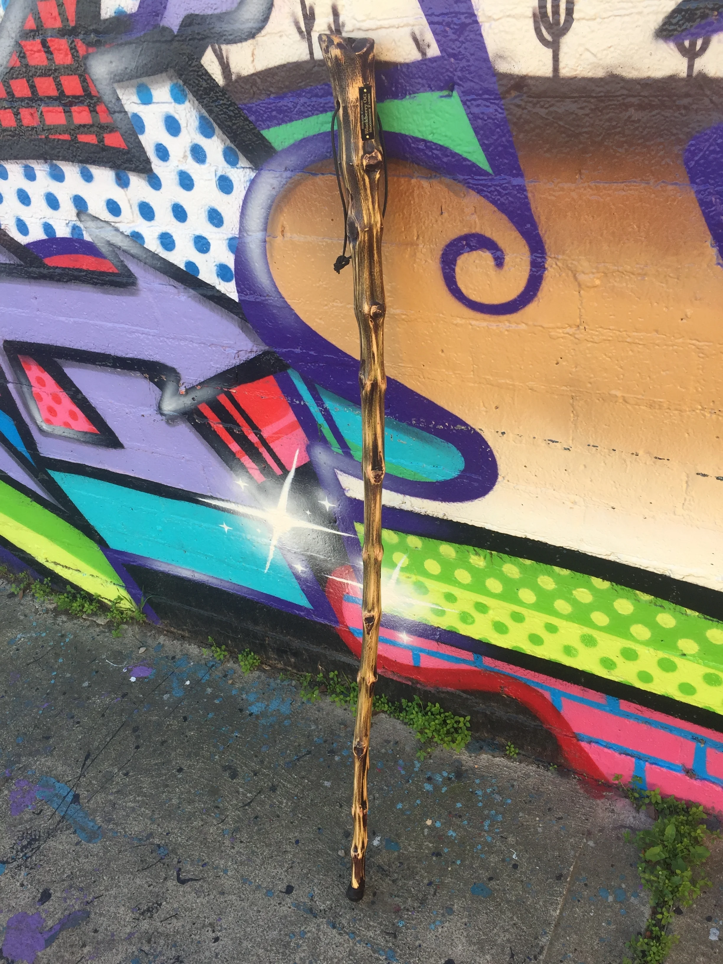 56'' Blackberry O.G. walking staff