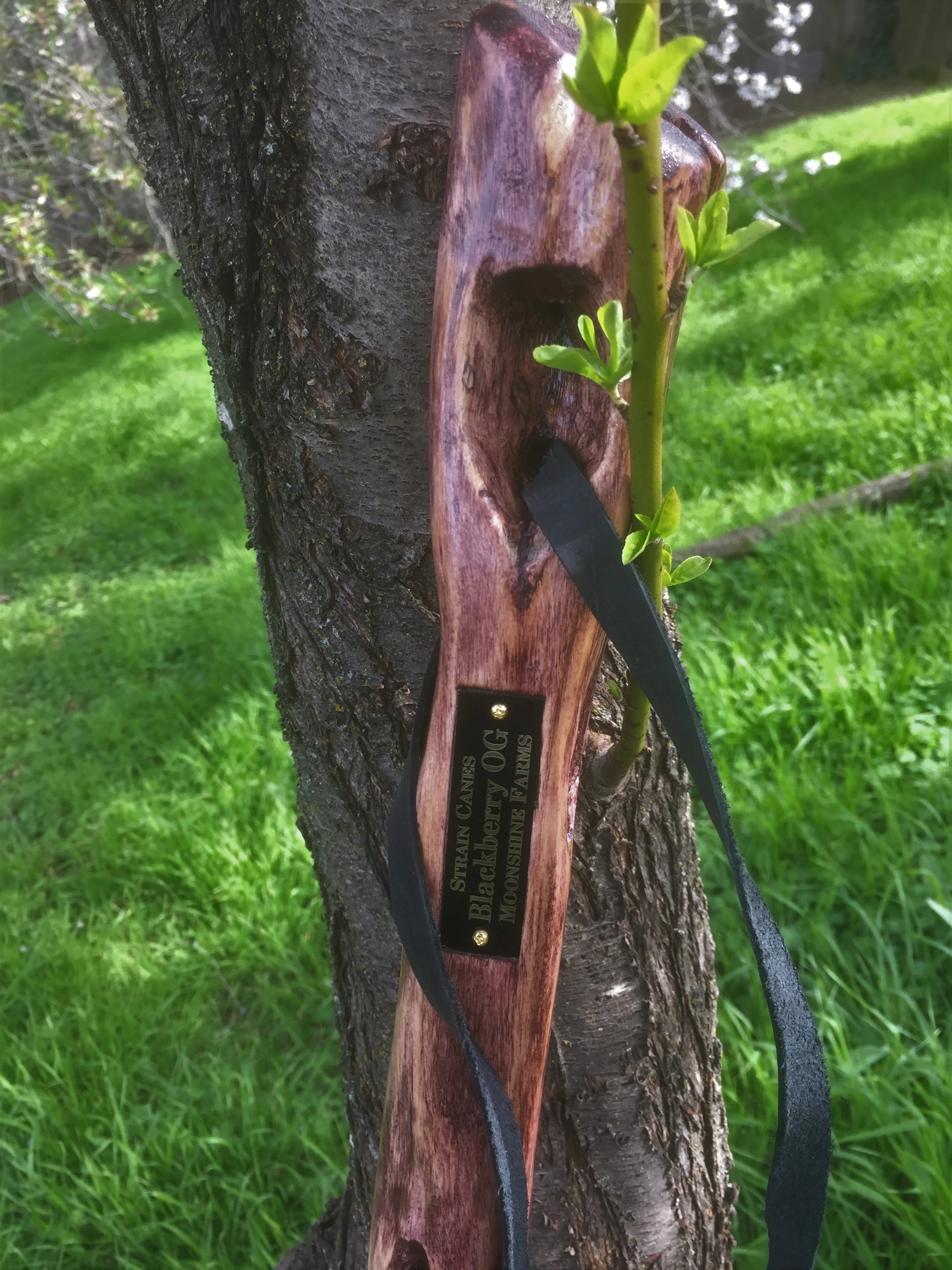 57'' Blackberry O.G. walking staff