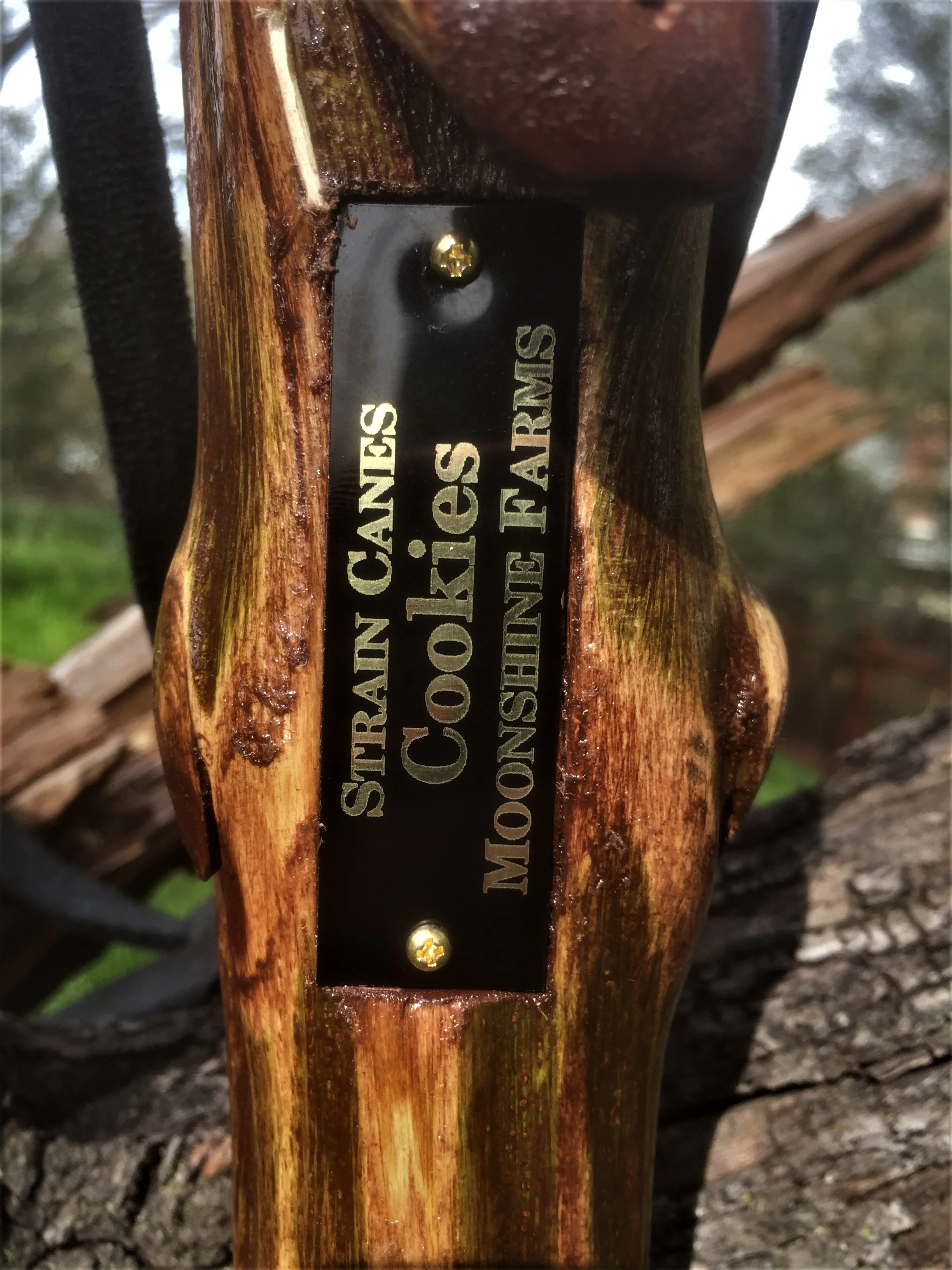 56'' Cookies walking staff