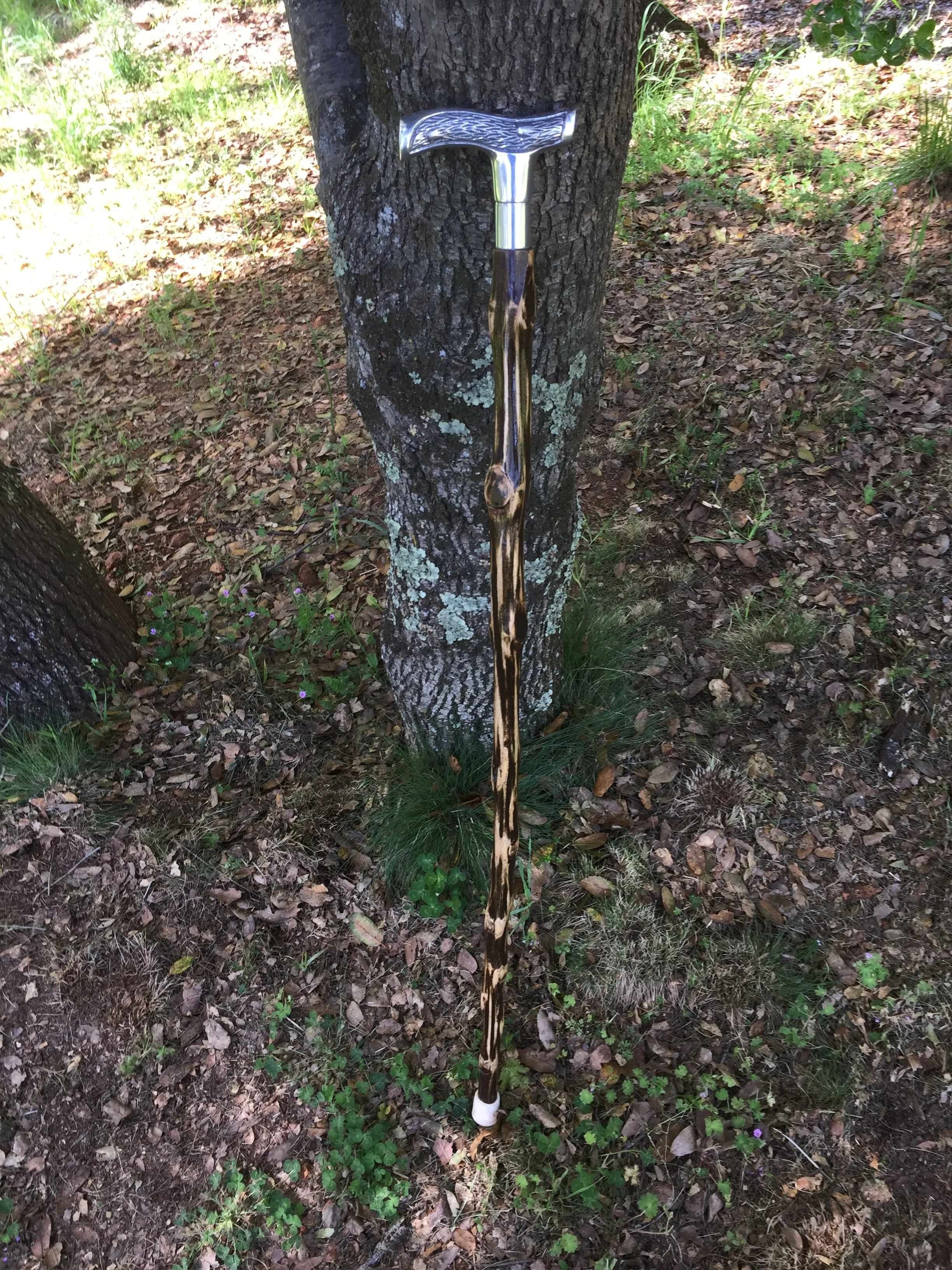 Cookies #31 assisted walking cane from Moonshine Farms